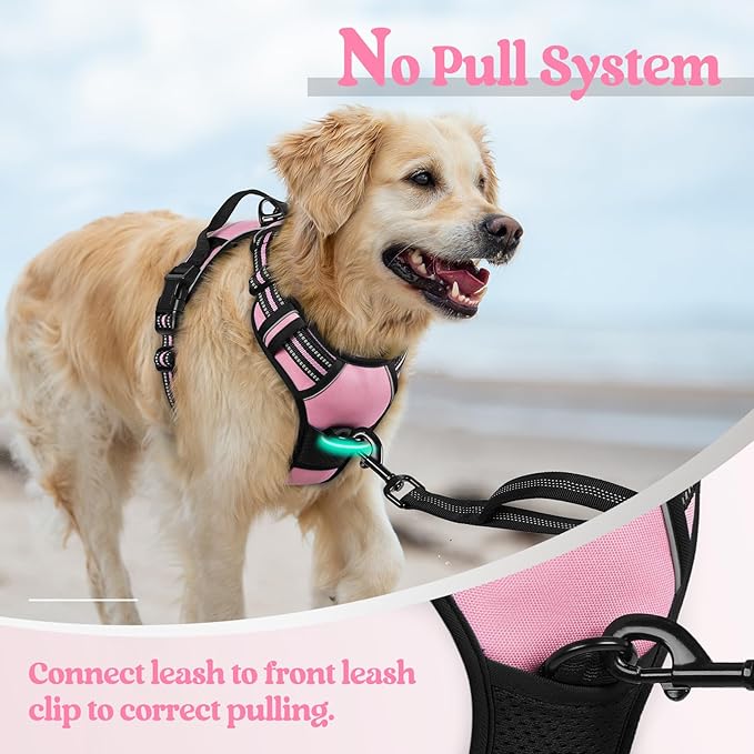 rabbitgoo Dog Harness No Pull with 2 Leash Clips, Adjustable Soft Padded, Reflective Oxford No Choke Pet Vest with Easy Control Handle for Large Dogs, Pink, XL