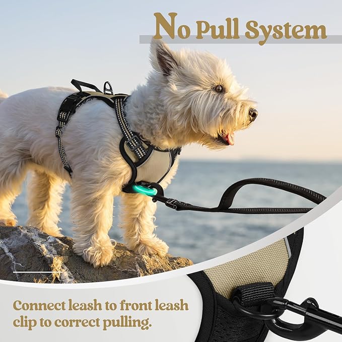 rabbitgoo Dog Harness No Pull with 2 Leash Clips, Adjustable Soft Padded, Reflective Oxford No Choke Pet Vest with Easy Control Handle for Puppy, Beige, XS