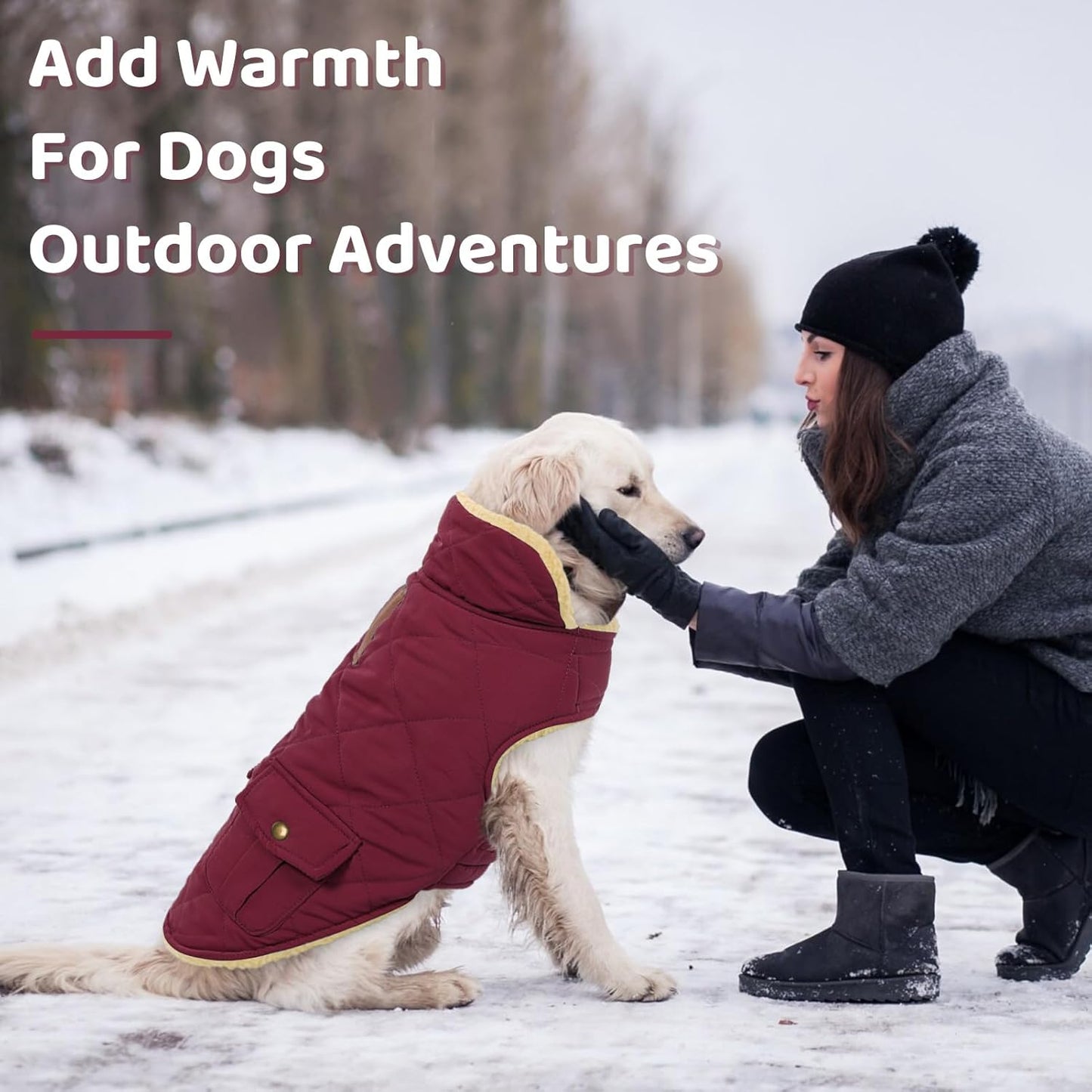 Queenmore Dog Winter Coat Warm Puffer Jacket Waterproof Plush Lining Thermal Cold Weather Vest for Small Medium Large Dogs, Windproof Easy On Pet Jacket Burgundy XL