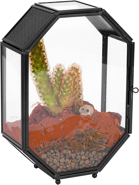 NCYP Mini Glass Terrarium with Vent and Door for Succulents Plants, Jumping Spiders, Insect - Octagon Small Closed Geometric Enclosure, Black Indoor Tabletop Decor, 5 x 2.3 x 7 Inches (Terrarium Only)