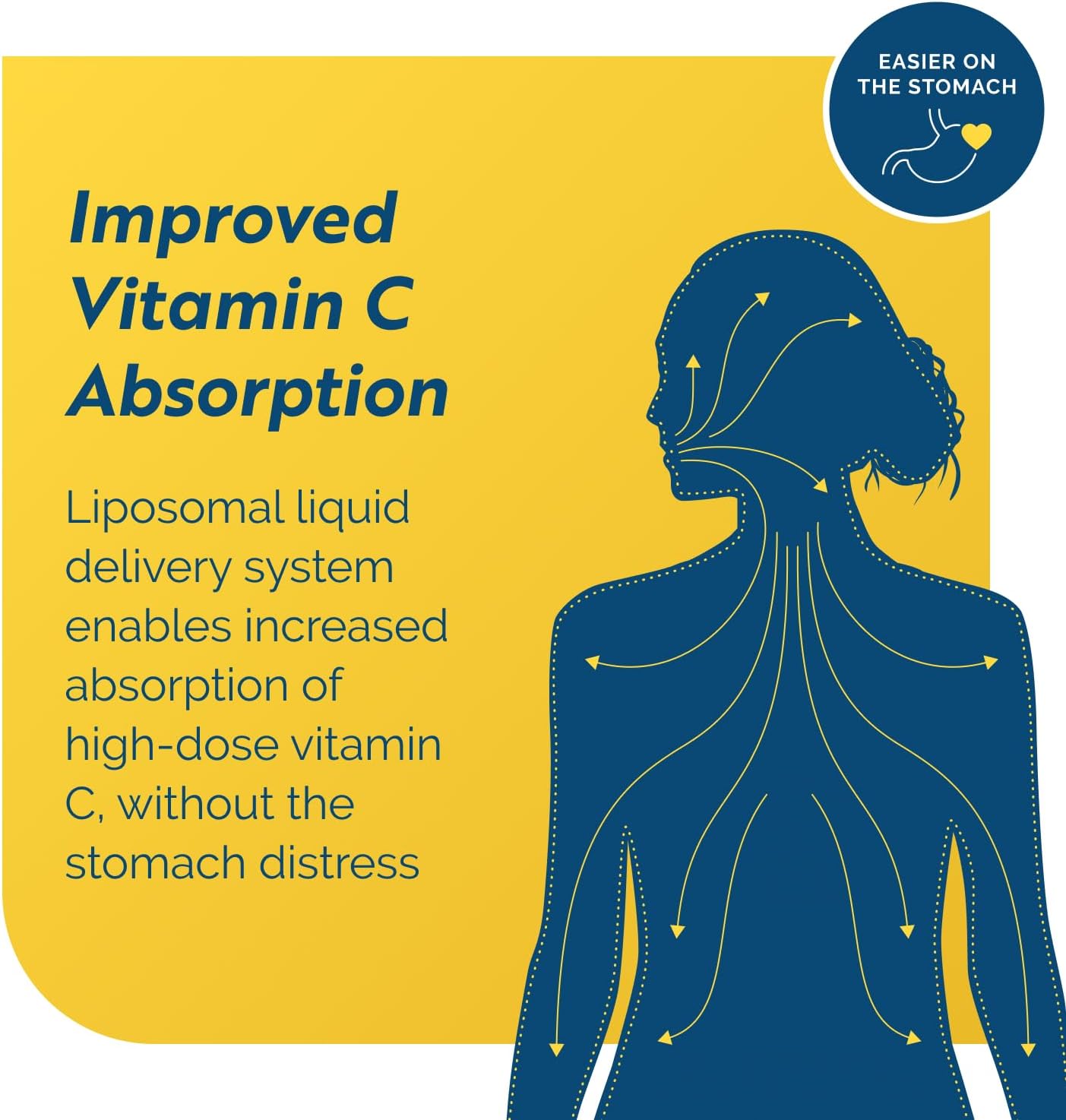 Researched Nutritionals C-RLA - Liposomal Vitamin C with R Lipoic Acid to Support Detox - Vegan & Soy-Free Vitamin C Liquid, Peppermint Flavor (10 Fl Oz)