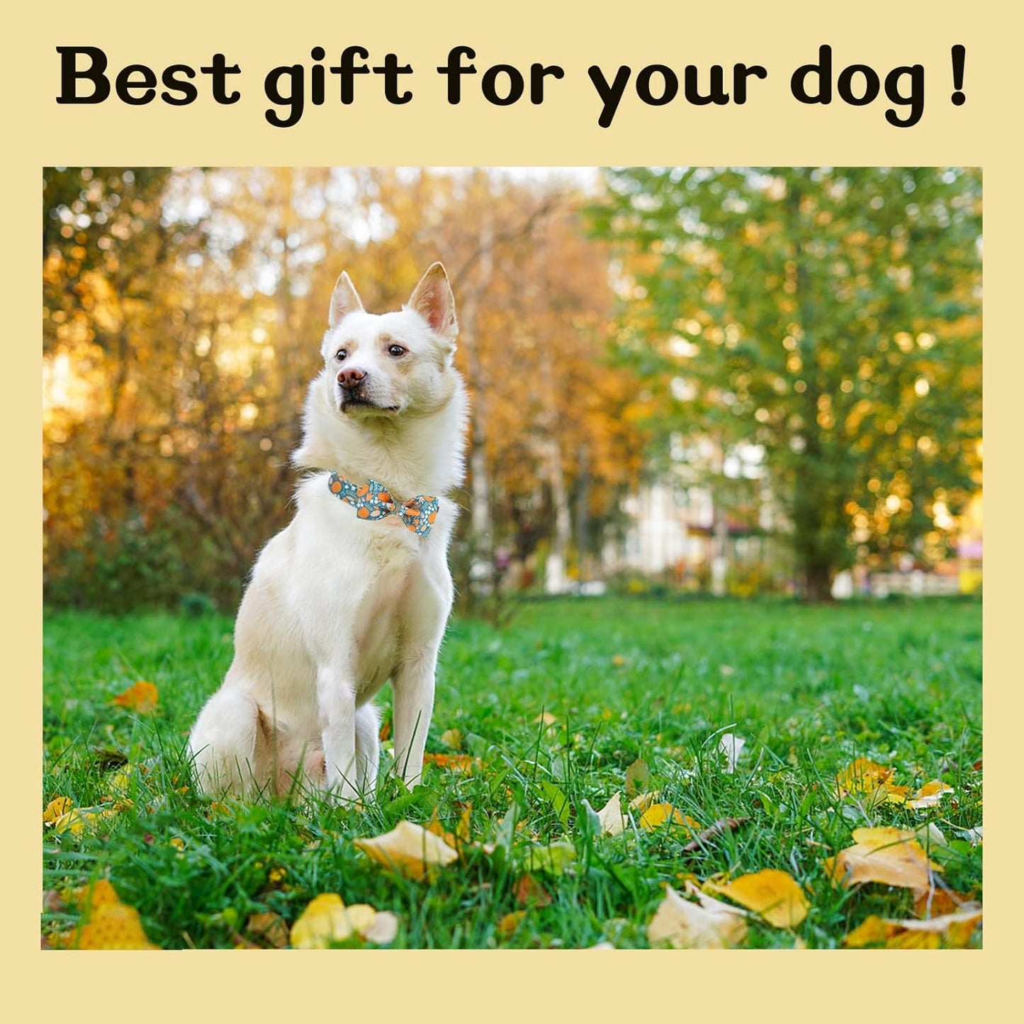 Unique style paws Halloween Dog Collar with Bow Tie Pumpkin Cotton Collar Adjustable Puppy Collar for Small Medium Large Dogs-L