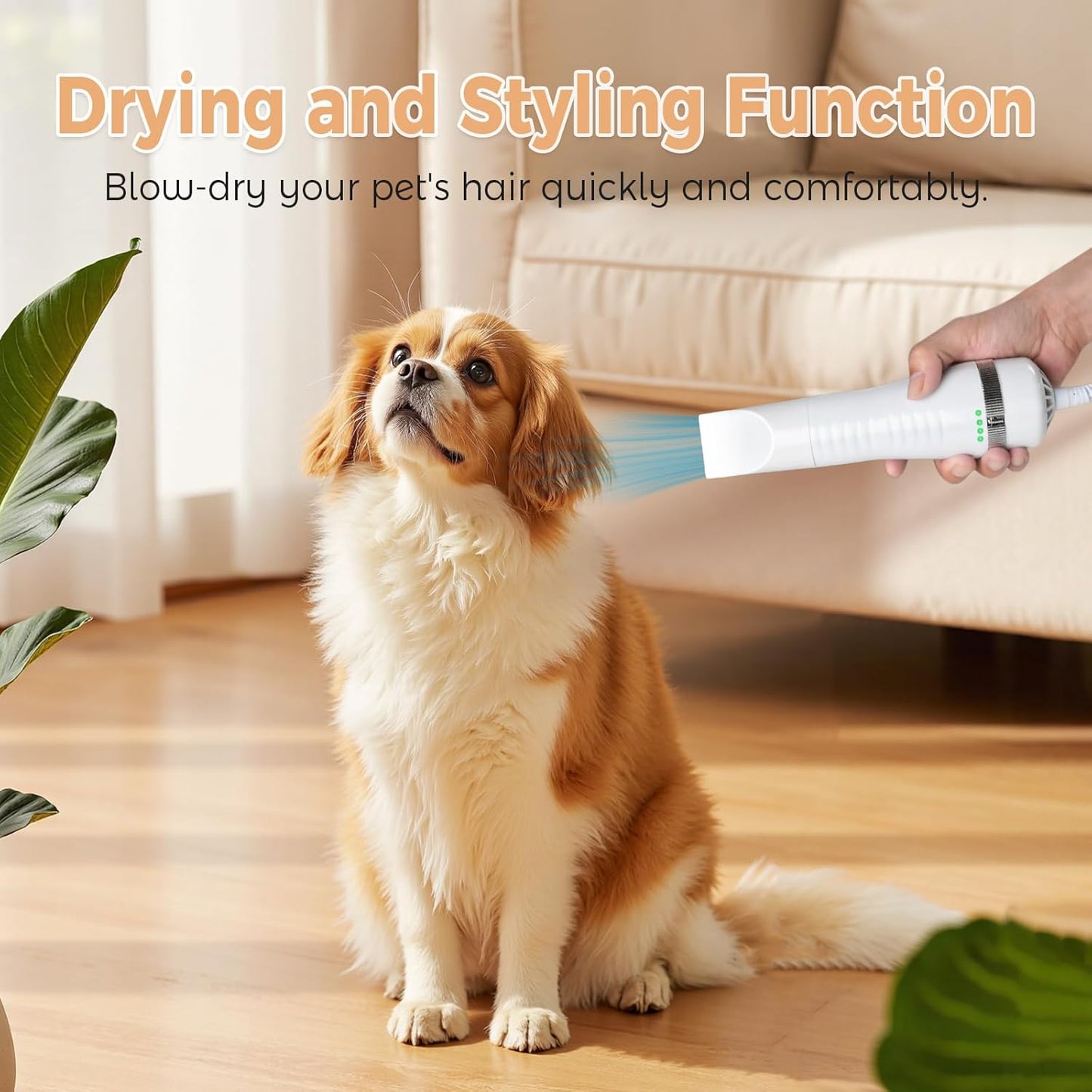 Cat Steam Brush with 600W High-Power Pet Dryer, Pet Spray Hair Removal Comb, 5 in 1 Cat & Dog Brush for Shedding, Includes Shampoo(Wired)