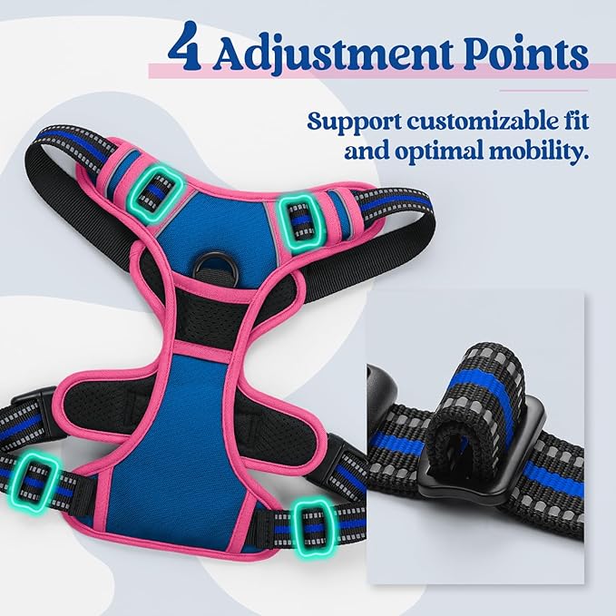 rabbitgoo Dog Harness No Pull with 2 Leash Clips, Adjustable Soft Padded, Reflective Oxford No Choke Pet Vest with Easy Control Handle for Large Dogs, Blue & Hot Pink, M