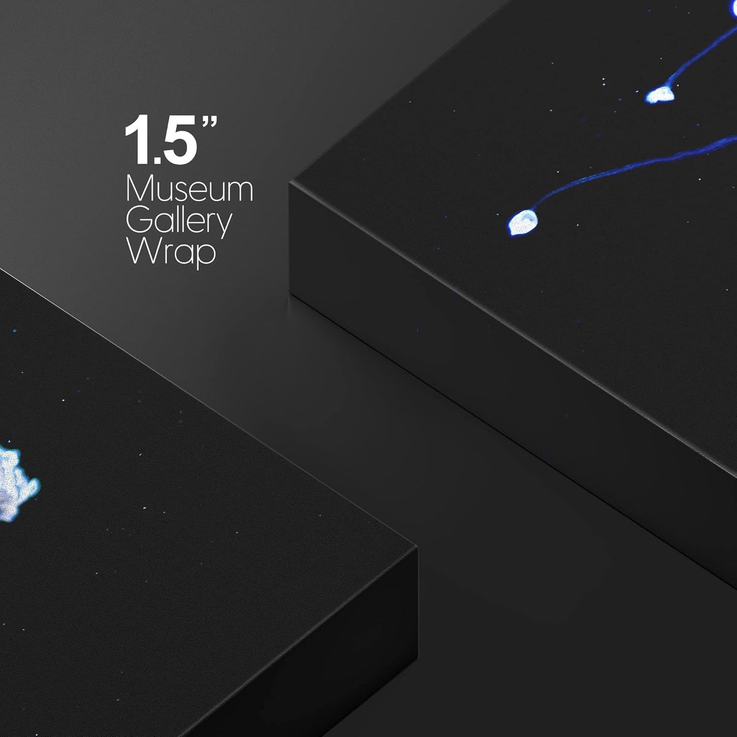 wall26 Canvas Print Wall Art Mystic Fantasy Tropical Blue X-Ray Jellyfish Nature Animals Photography Realism Rustic Scenic Landscape Wilderness Colorful for Living Room, Bedroom, Office - 16"x24"