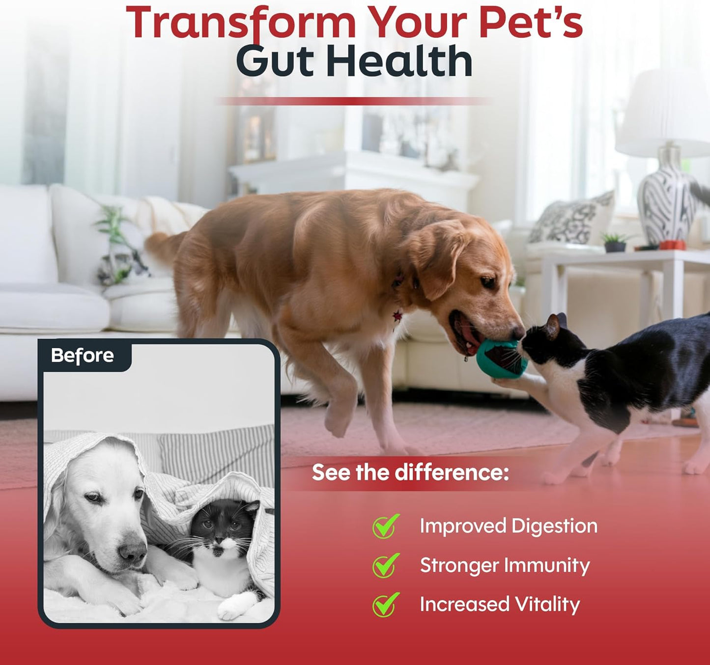 Probiotics for Cats & Dogs - 6 Billion CFU Prebiotic & Probiotic Powder - 8 Strains Pet Digestive Support - Gut Health Supplement with Flaxseed & Pumpkin - 30 Day Supply with Scoop