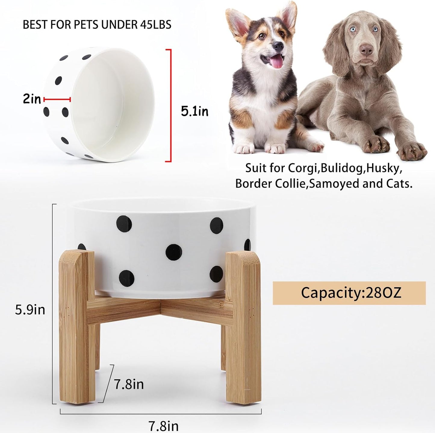 Petygooing 28 OZ Elevated/Raised Ceramic Dog Bowl for Small Medium Breeds, Dog Food Water Dish with Stand,Pet Bowl with Anti Slip Rubber for Cats Small and Medium Dogs (3.6 Cups) Black Dot