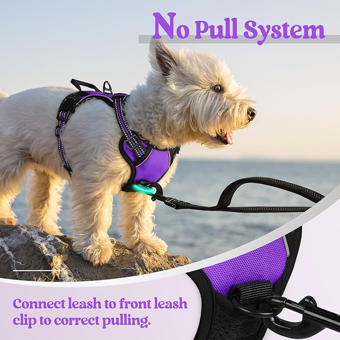 rabbitgoo Dog Harness No Pull with 2 Leash Clips, Adjustable Soft Padded, Reflective Oxford No Choke Pet Vest with Easy Control Handle for Puppy, Purple,XS