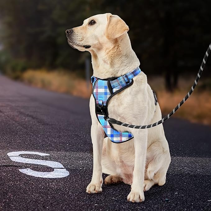 IVY&LANE No Pull Dog Harness with Leash Set, Reflective No Choke Pet Vest,Adjustable Oxford Dog Vest Harness with Easy Control Handle for Large Dogs (Checkered Blue,L)