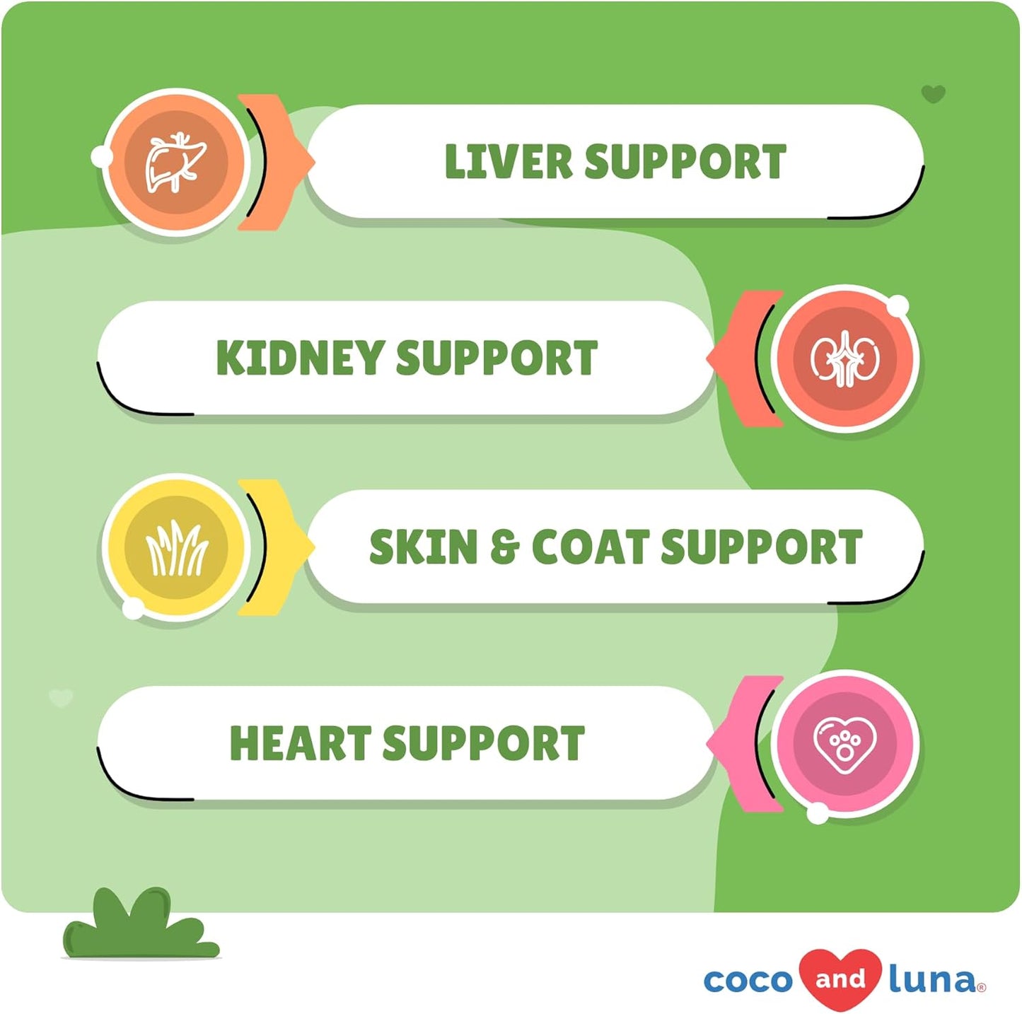 Milk Thistle for Dogs - 120 Chewable Tablets - Silymarin - Liver and Kidney Support with EPA & DHA - Detox - Liver Supplement for Dogs with Choline and L-Arginine