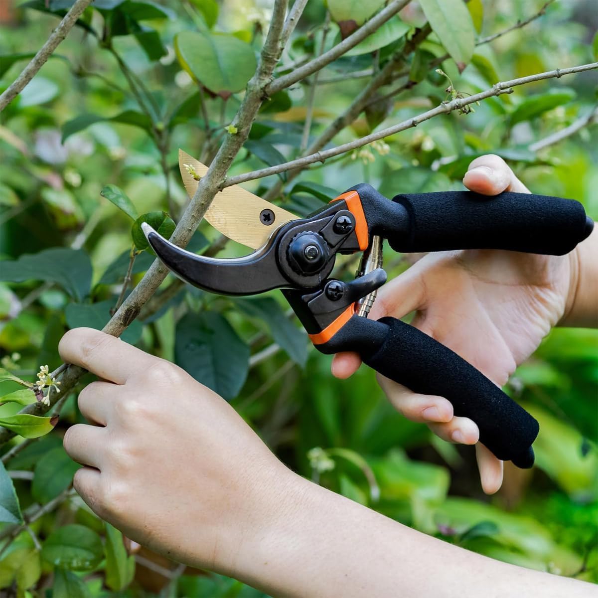 Premium 8-Piece Garden Tools Set – Heavy Duty Carbon Steel with Rust-Proof Coating, Ergonomic Handles, SK-5 Pruning Shears, Waterproof Repotting Mat & Storage Tote Bag – Ideal Gift for Gardeners