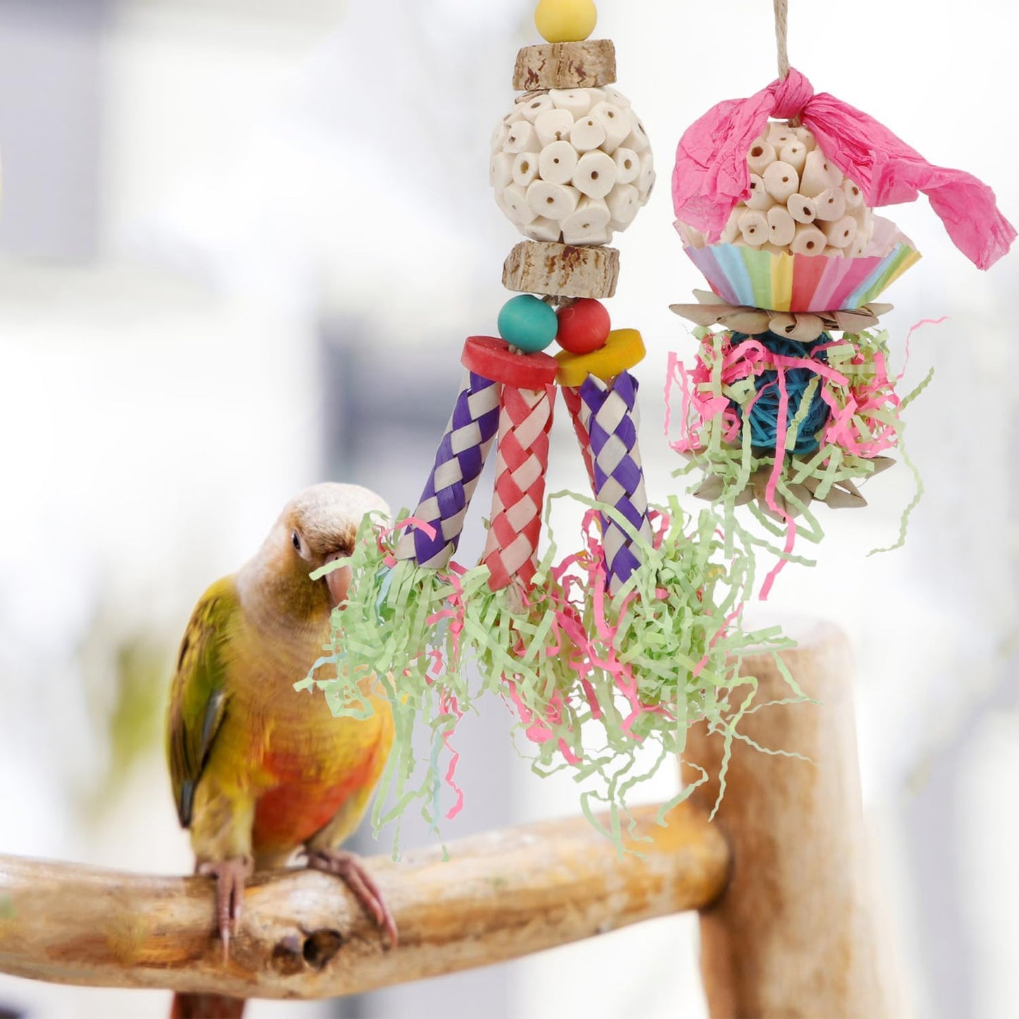 Wontee Bird Toys Colorful Shredding Crinkles Foraging Toys Natural Sola Ball for Parrots Cockatiels Conures Parakeets Budgies Senegal (Sola Ball (2 Pack))