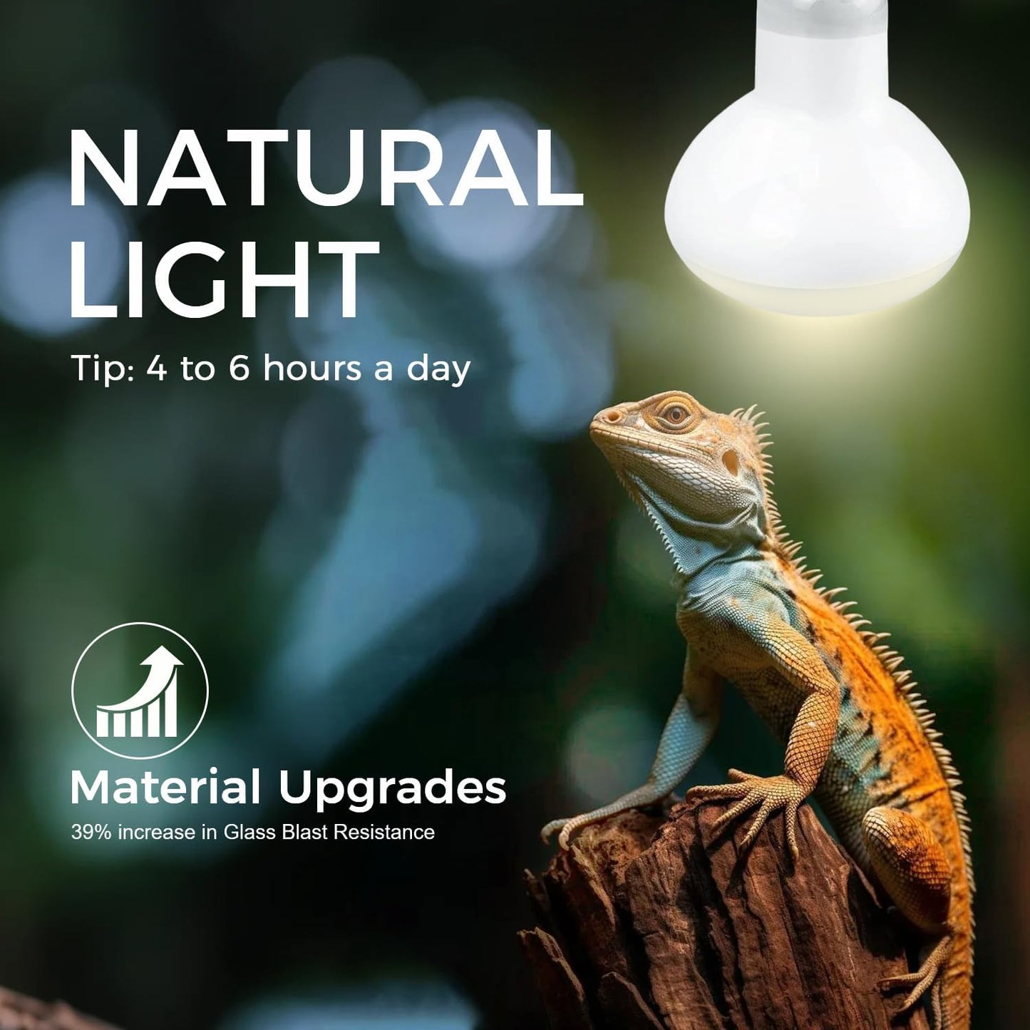 Reptile Heat Lamp Bulb 100W, 2-in-1 Day & Night Combo, Infrared Heat Lamp & UVA Sunlight Heating Lamp for Reptile Terrariums