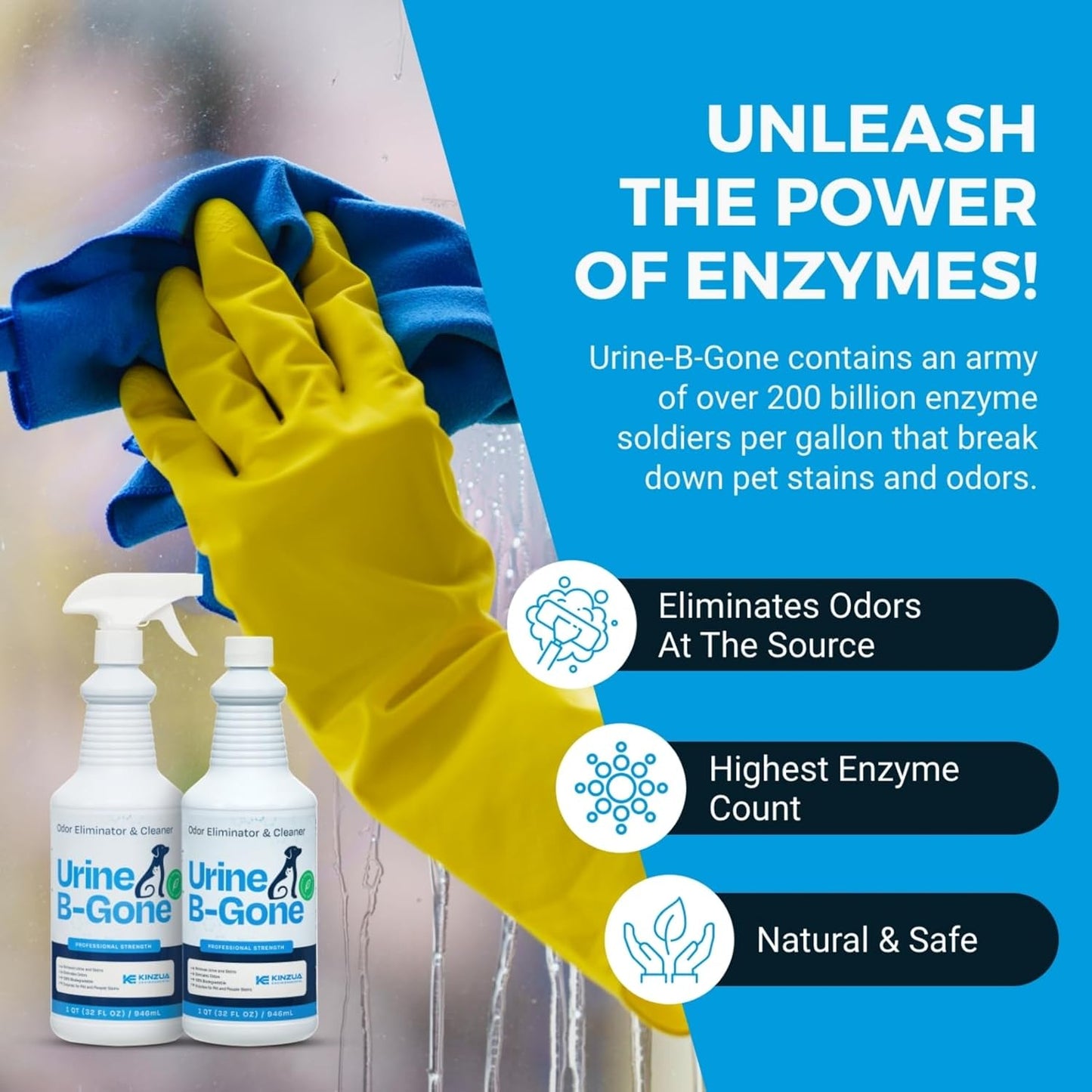 KINZUA ENVIRONMENTAL Urine B-Gone, Professional Enzyme Odor Eliminator & Pet Stain Remover, Human, Cat & Dog Urine Cleaner, Effective on Laundry, Carpets & More, Original Scent, 32oz, Pack of Two