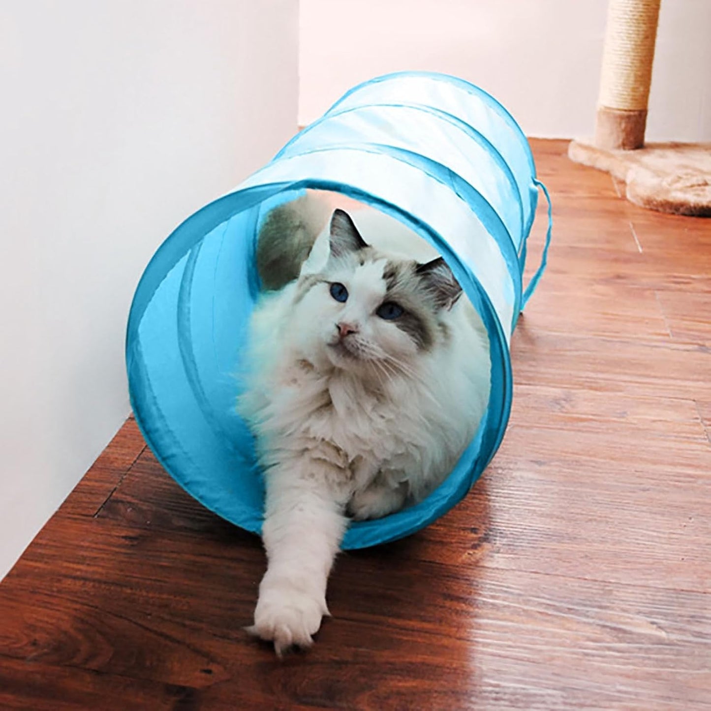 iCAGY Foldable Spiral Cat Tunnel - Indoor Toy for Small Cats, Kittens, and Rabbits - Tube for Interactive Play and Outdoor Fun - Pet Toy 20" 3 Pcs （Light Pink, Light Green, Sky Blue）