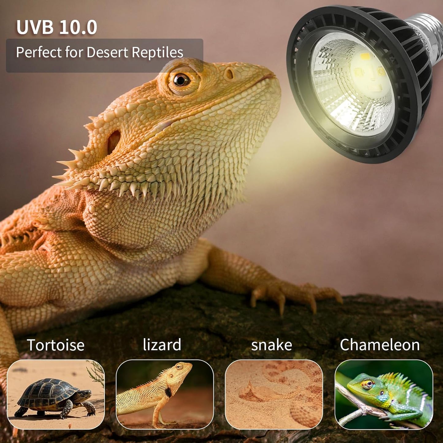 UVB Light Bulb for Reptiles, LED 3W 5.0 UVA UVB Heat Lamp Bulbs Ideal for Rainforest Reptiles, Bearded Dragons Lizard Turtle Tortoise Iguanas Chameleons Snake (1 Pack)