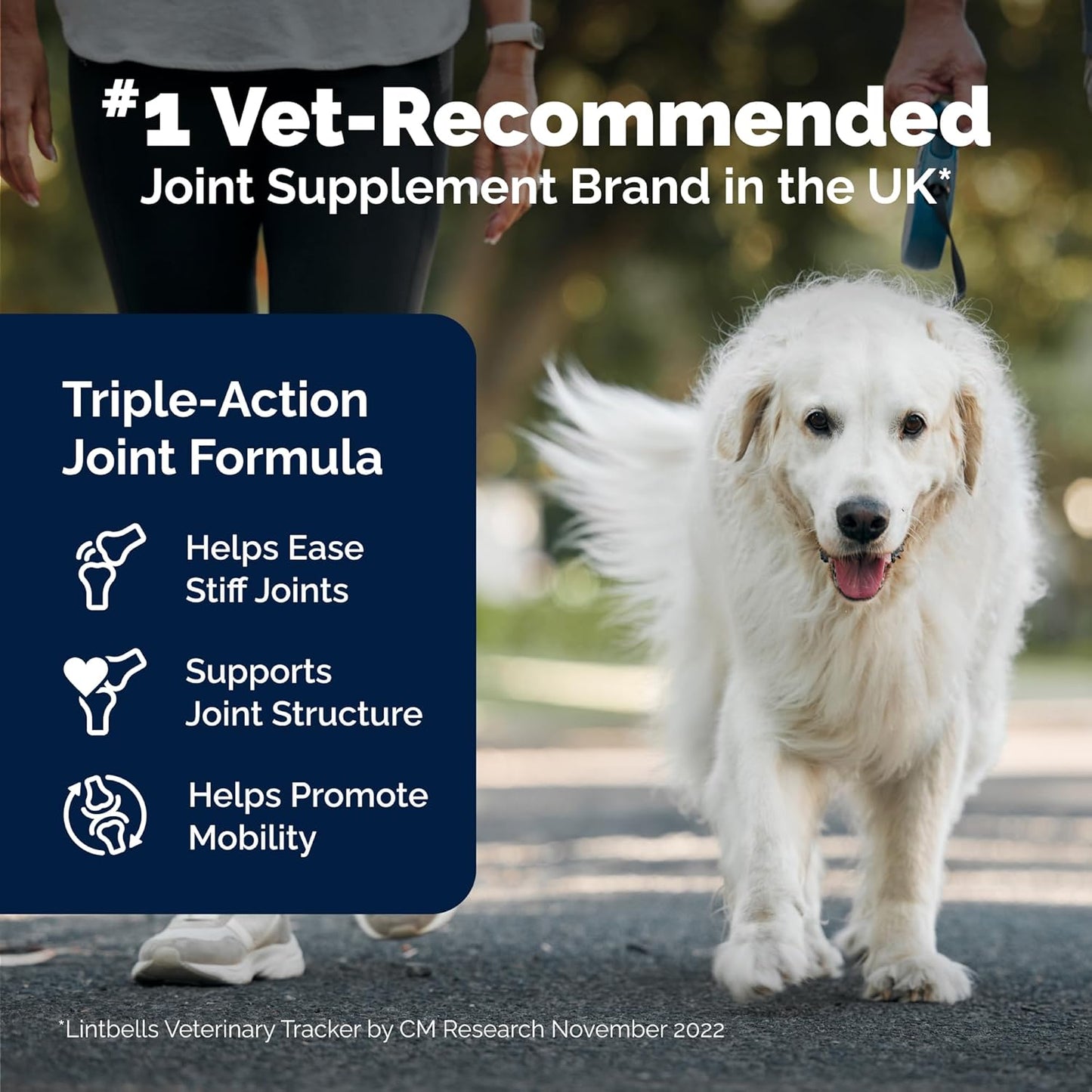 Yumove Hip & Joint Supplement for Dogs - with Glucosamine Chondroitin, Omega 3, Hyaluronic Acid, Green Lipped Mussel & Fish Oil for Dogs - Senior Dog Joint Supplement (240ct Chewable Tablets)