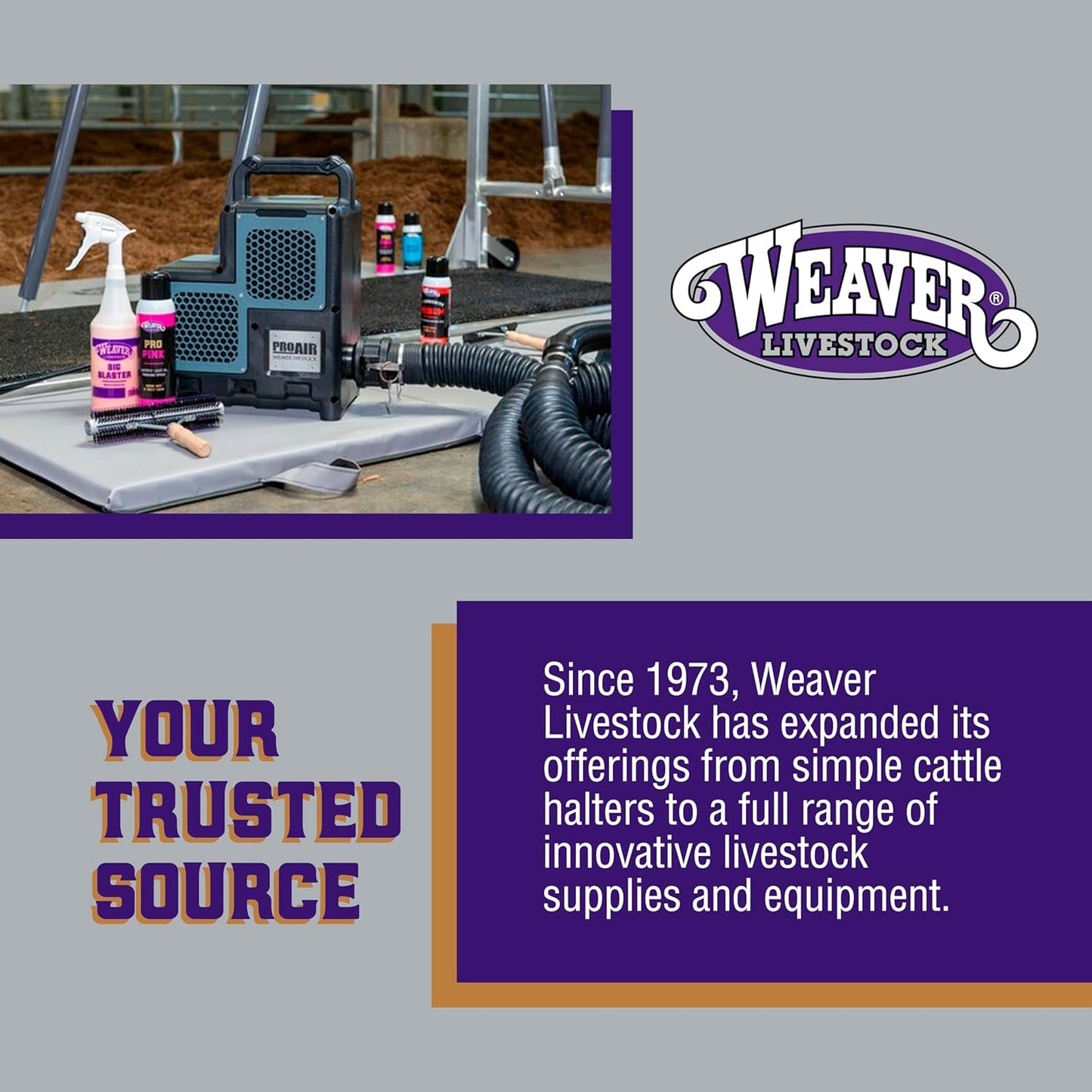 Weaver Leather Poly Rope Sheep Halter, Blue/Mint/Gray