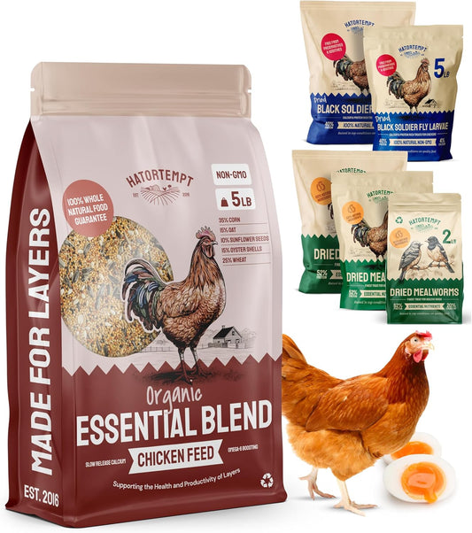 PTCOM Hatortempt 5lb Organic Chicken Feed for Laying Hens - 3 Grain Essential Blend - 5% Calcium with Oyster Shell for Chickens - Grit for Digestion - Chicken Food - Healthier Hens for Healthier Eggs