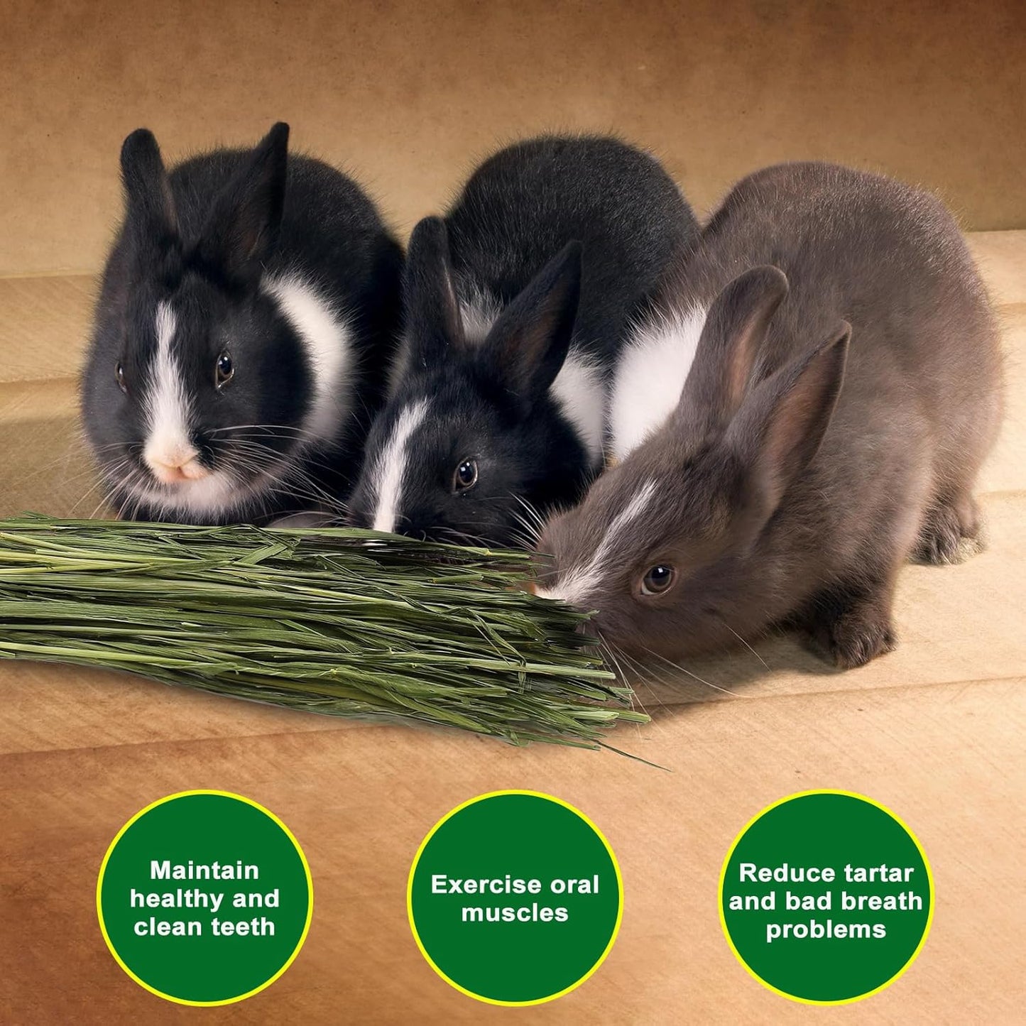 Premium Oat Hay for Pets - Dust Free Natural Green Fresh Pet Food Hay for Rabbits, Guinea Pigs, Chinchillas, Hamsters & Gerbils - 2.2lbs