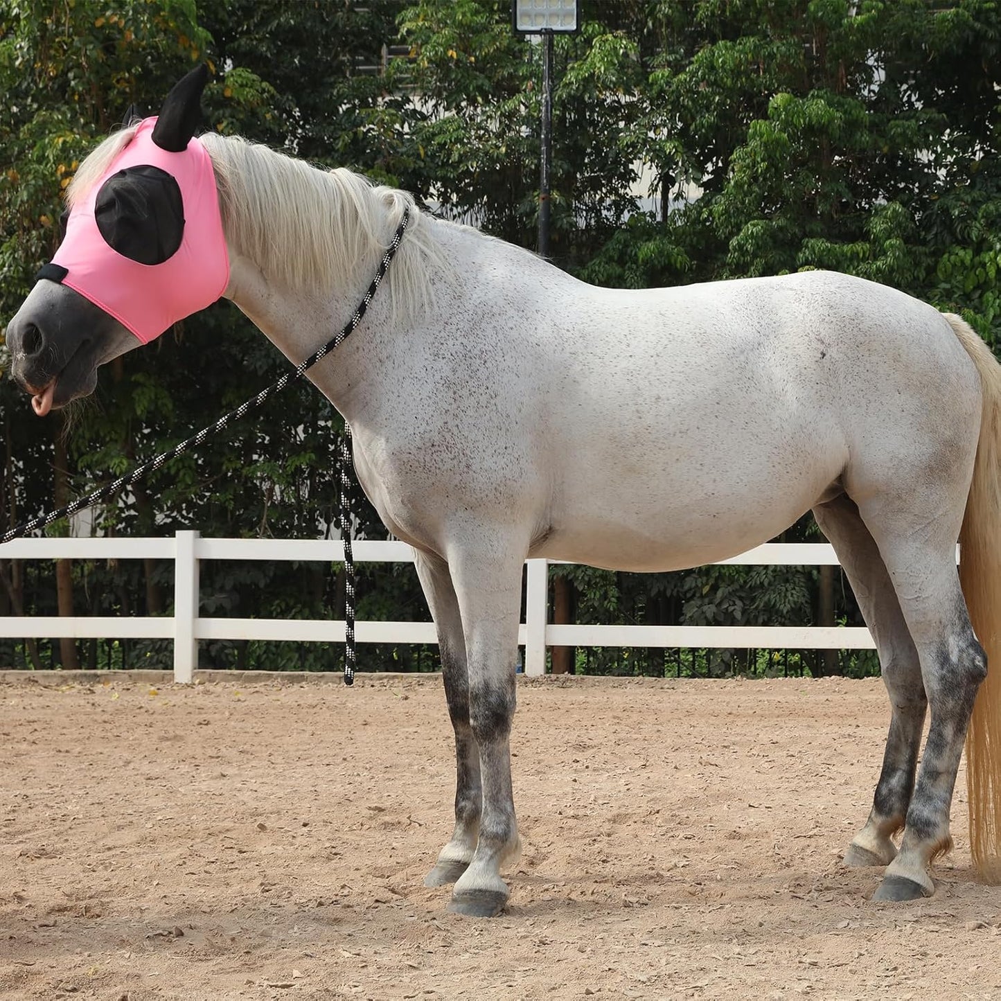 Horse Fly Mask with Ears - Large Eye Space for Full Vision, Breathable Stretch Comfort Fit, UV Protection, Forelock Opening, Easy Pull-On Pink Cob
