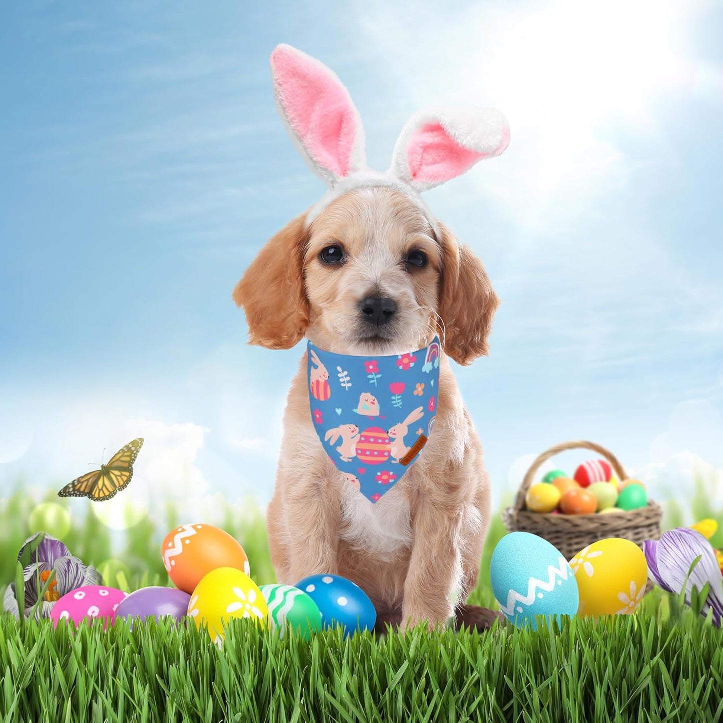 ADOGGYGO Easter Dog Bandanas, Rabbit Carrot Puppy Scarf, Multi Size Offered, Orange Blue Easter Bandana for Small Dogs Pets (Small)