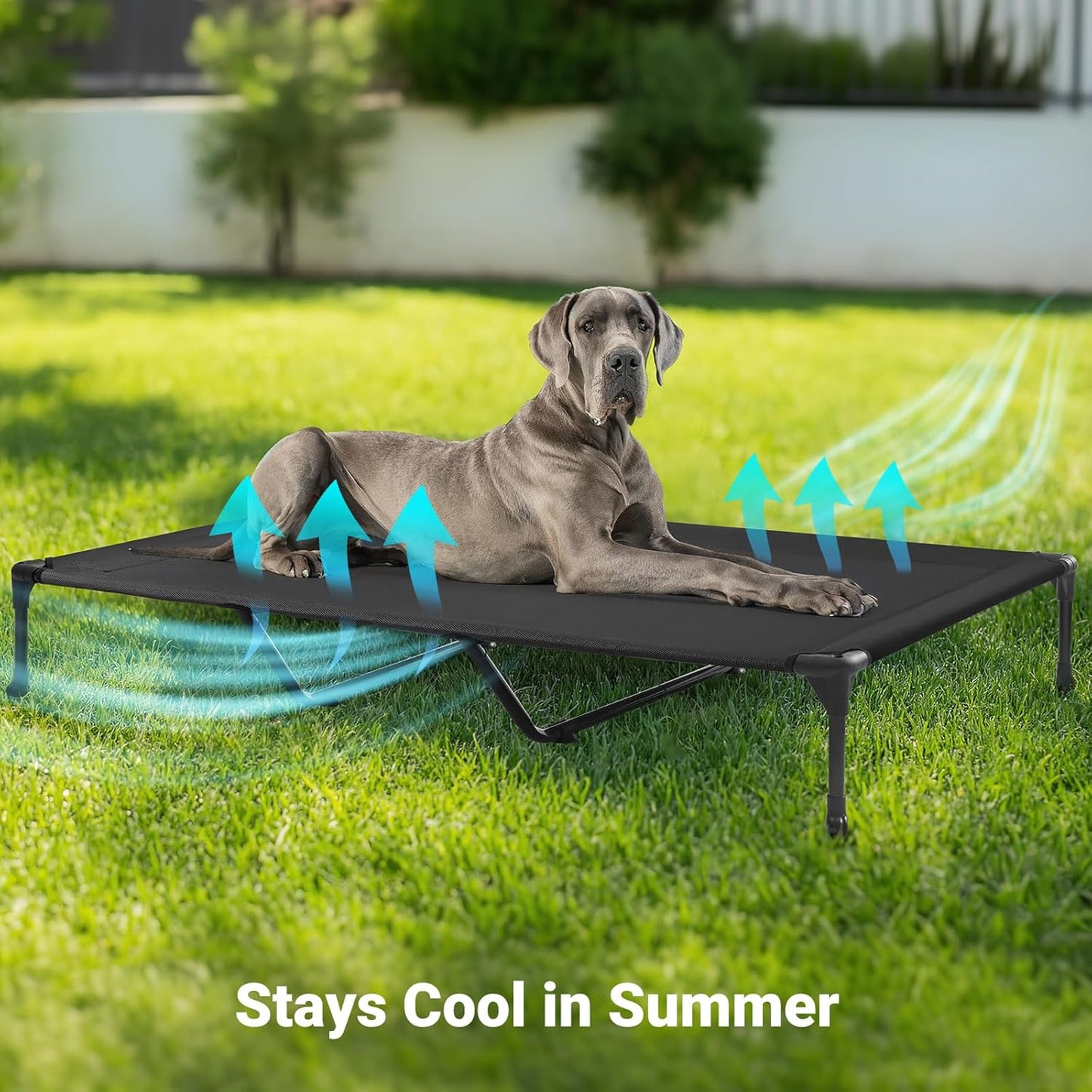 Veehoo Outdoor Elevated Dog Cot Bed-Cooling Raised Pet Bed for XX-Large Dog, Washable Breathable Mesh Hammock Bed with No-Slip Feet,Indestructible Ground Off Training Platform Cot-59x37.5 Black Silver