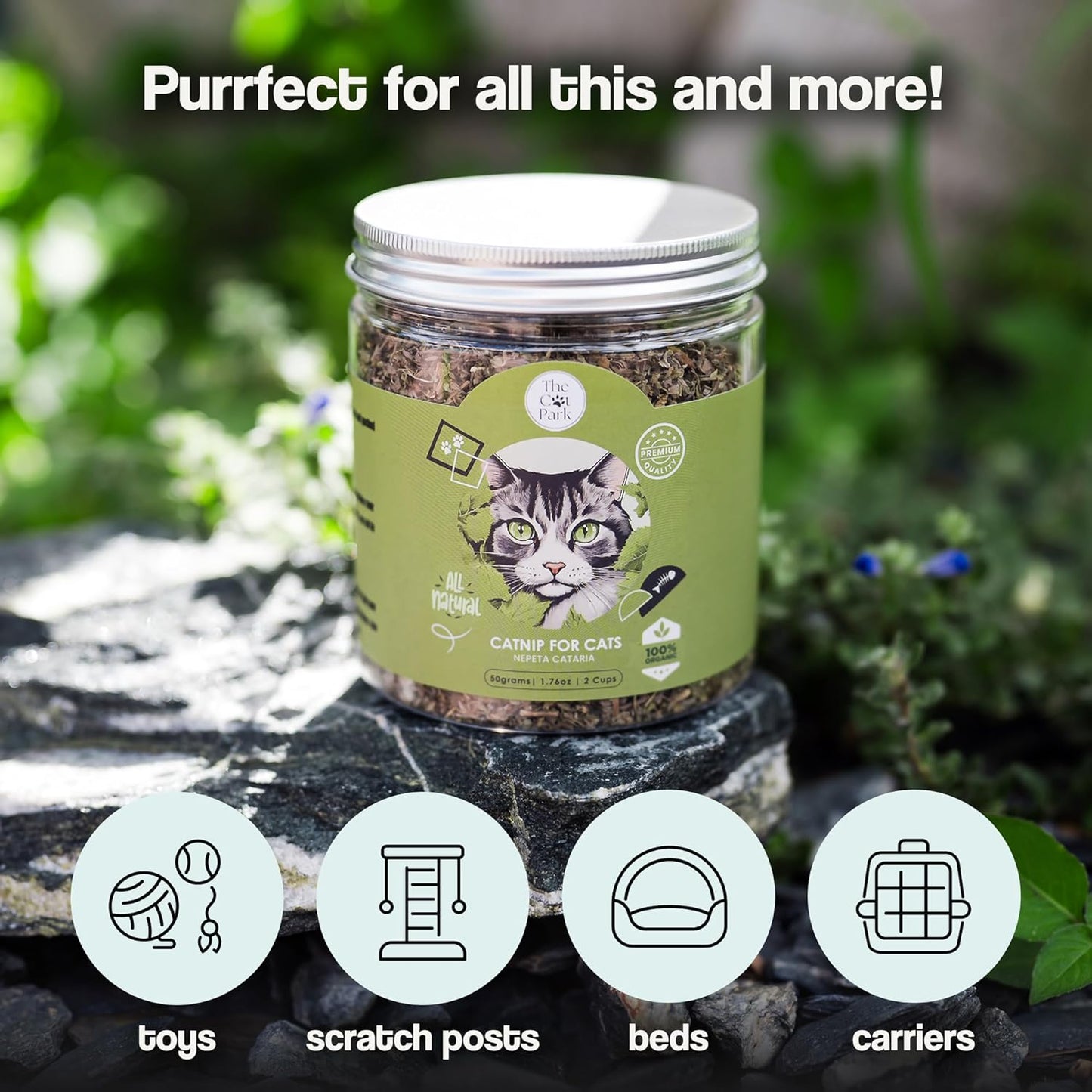 Organic Catnip for Cats & Kittens – 1.76 oz Premium Natural Catnip, High Potency Blend for Playtime, Training, and Stress Relief, 2 Cups of Dried Cat Nip Leaves