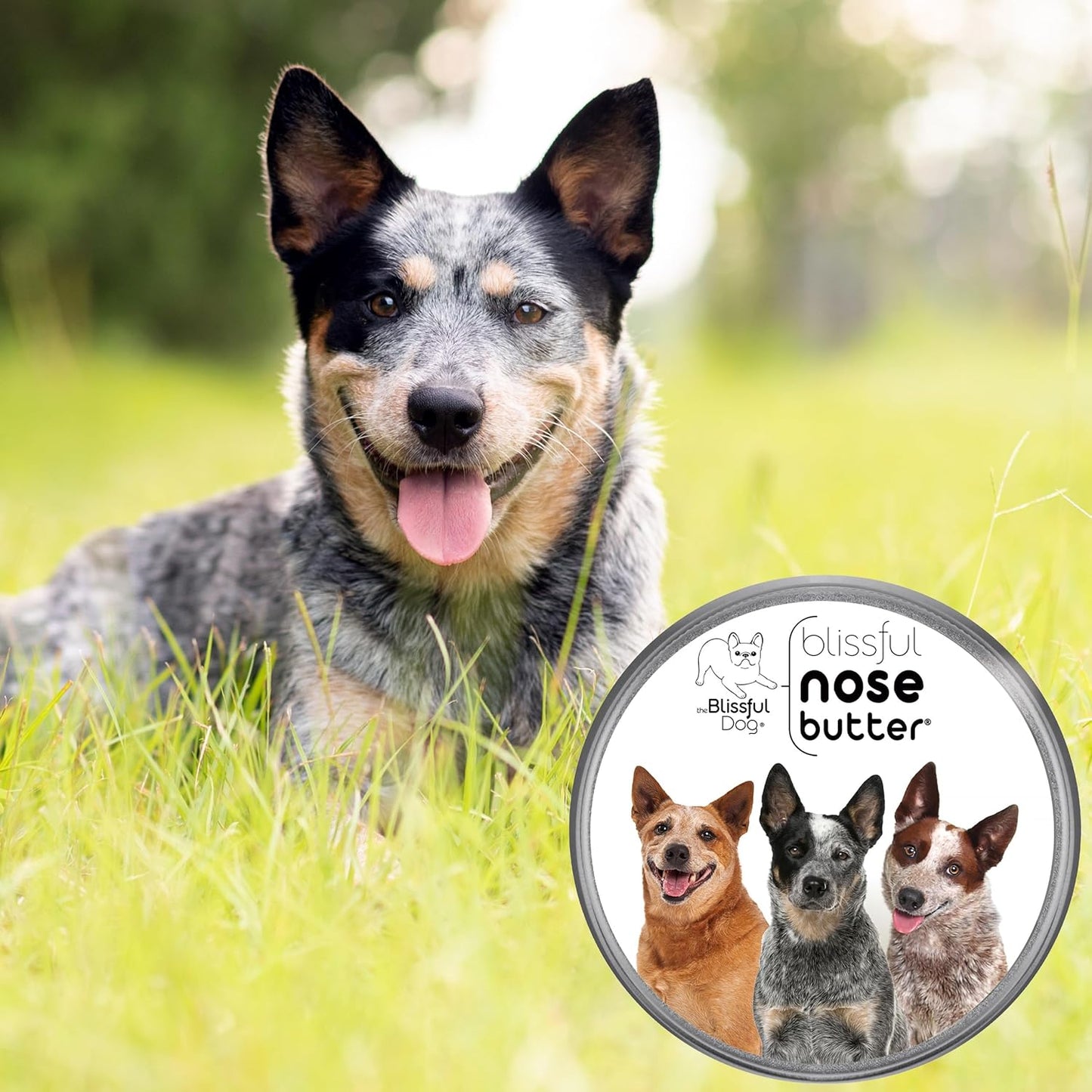 The Blissful Dog Australian Cattle Dog Unscented Nose Butter - Dog Nose Butter, 2 Ounce