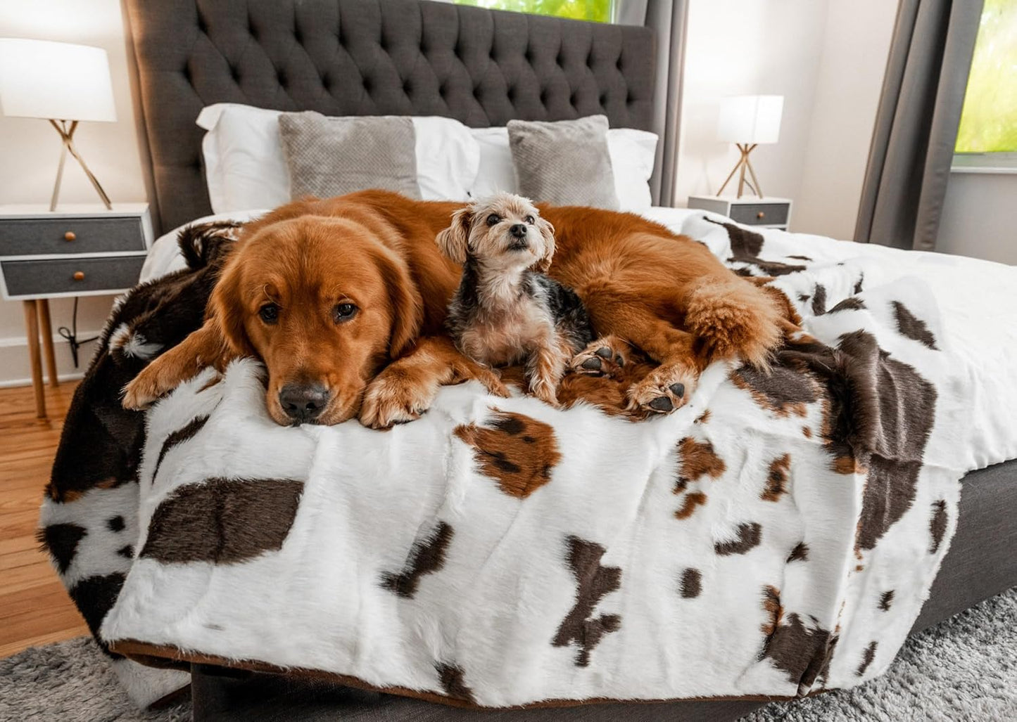PupProtector Waterproof Throw Blanket for Dogs and Cats, Pet Blanket Cover for Couches, Sofas, Beds, Car Seats, Furniture, Calming Soft Faux Fur, Brown Cowhide, Large (80" L x 62" W)