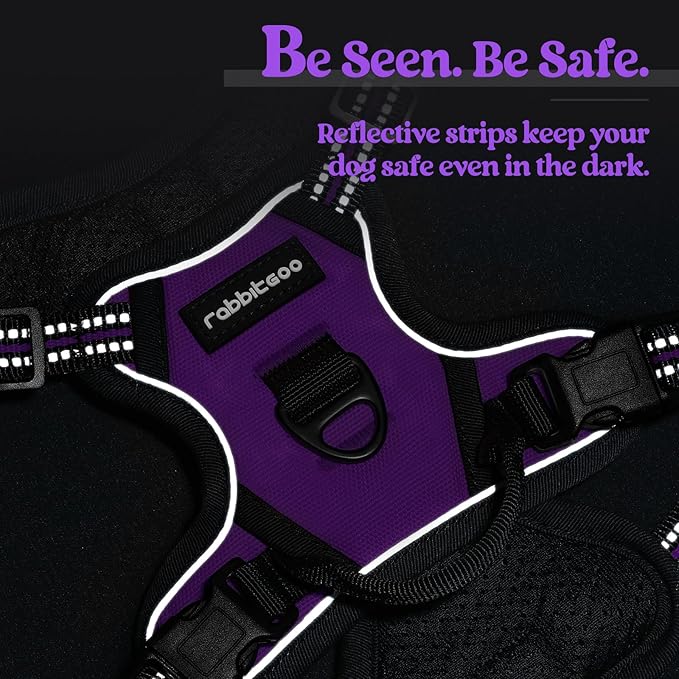 rabbitgoo Dog Harness No Pull with 2 Leash Clips, Adjustable Soft Padded, Reflective Oxford No Choke Pet Vest with Easy Control Handle for Puppy, Purple,XS