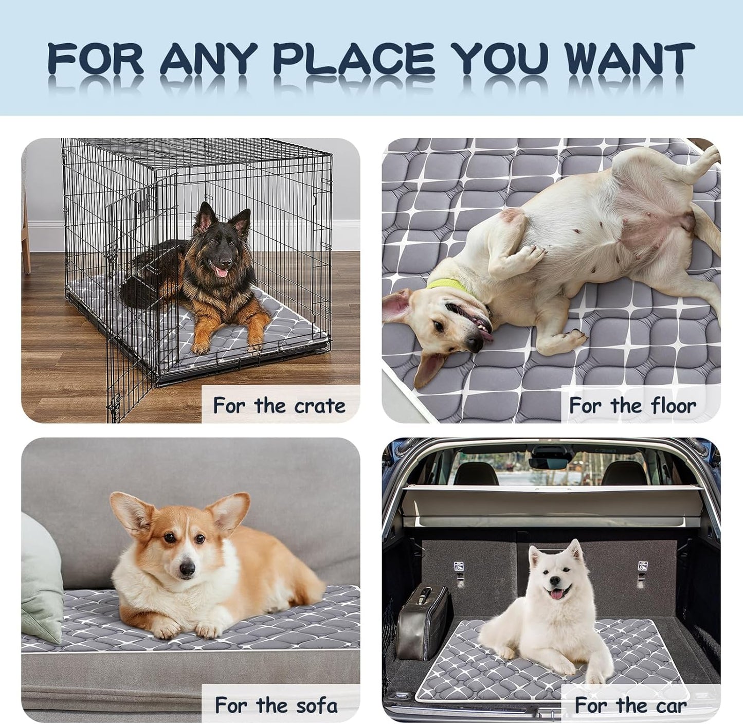 Bubble bear Dog Crate Mat - Ultra Soft, Washable & Anti-Slip Kennel Pad for Small/Medium/Large Dogs, Dark-Hued to Hide Stains (36"x23")