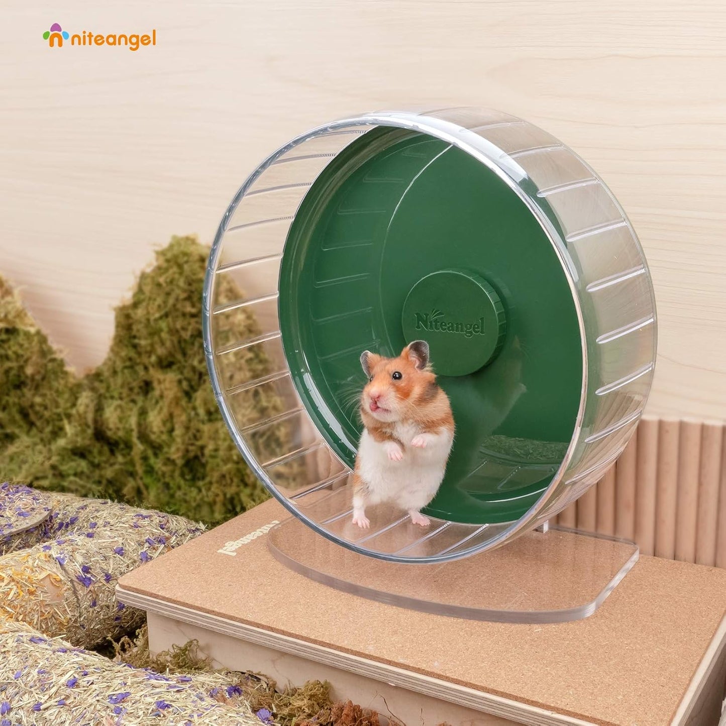Niteangel Super-Silent Hamster Exercise Wheels: - Quiet Spinner Hamster Running Wheels with Adjustable Stand for Hamsters Gerbils Mice Or Other Small Animals (M, Dark Green)