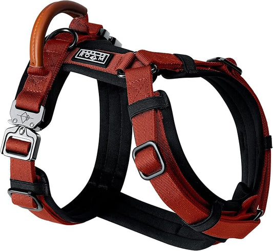 MADE TO ROAM Premium Explorer Harness - Y-Shaped Dog Harness with Adjustable Durable Nylon, Soft Padding, Metal Buckles and Leather Handle for Small, Medium, Large Dogs (Texas Flair, Size 1)