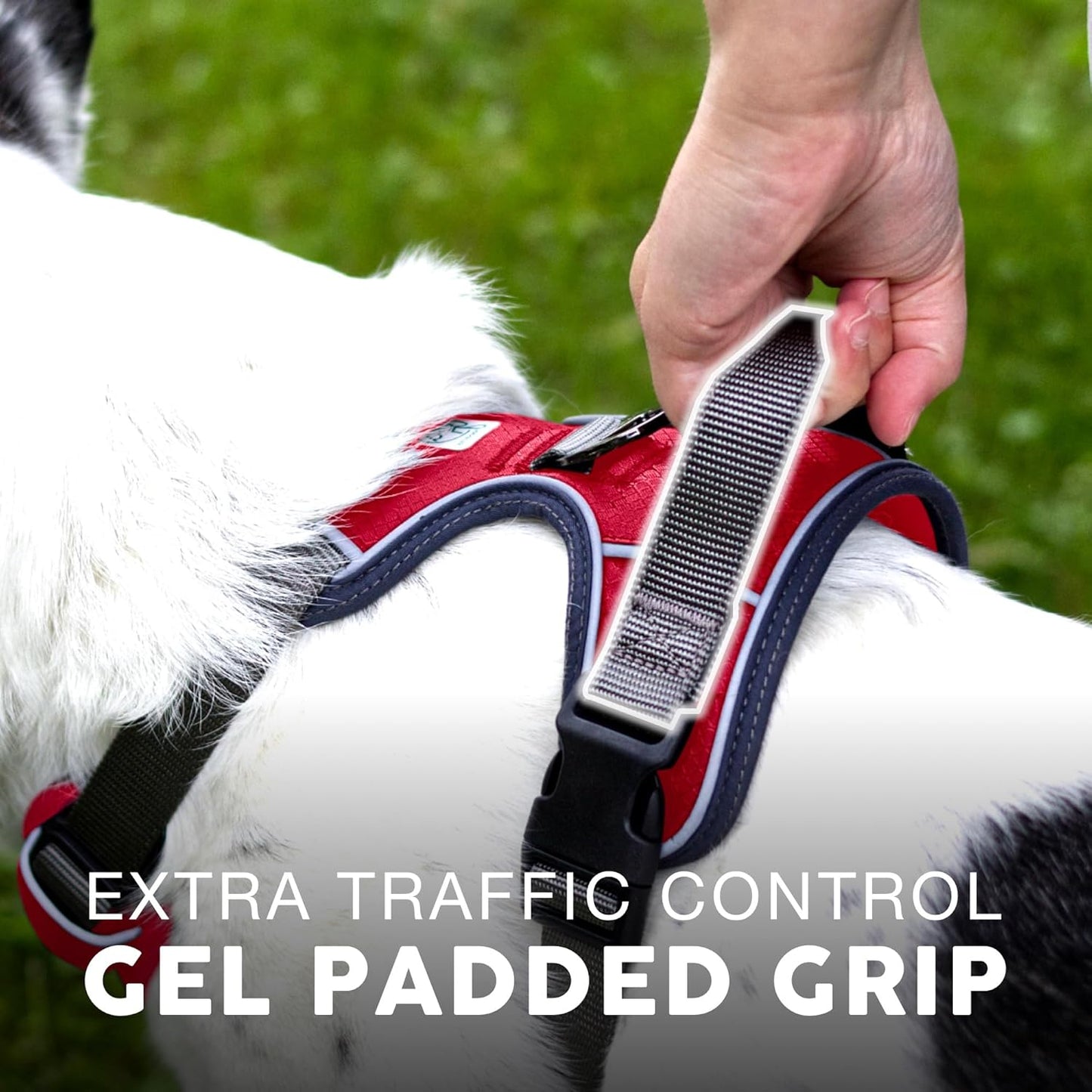 Embark Adventure Dog Harness, Reflective Trim No Pull Dog Harnesses for Small Sized Dogs - Military Grade Nylon, Front Clip with Gel Lined Handle.