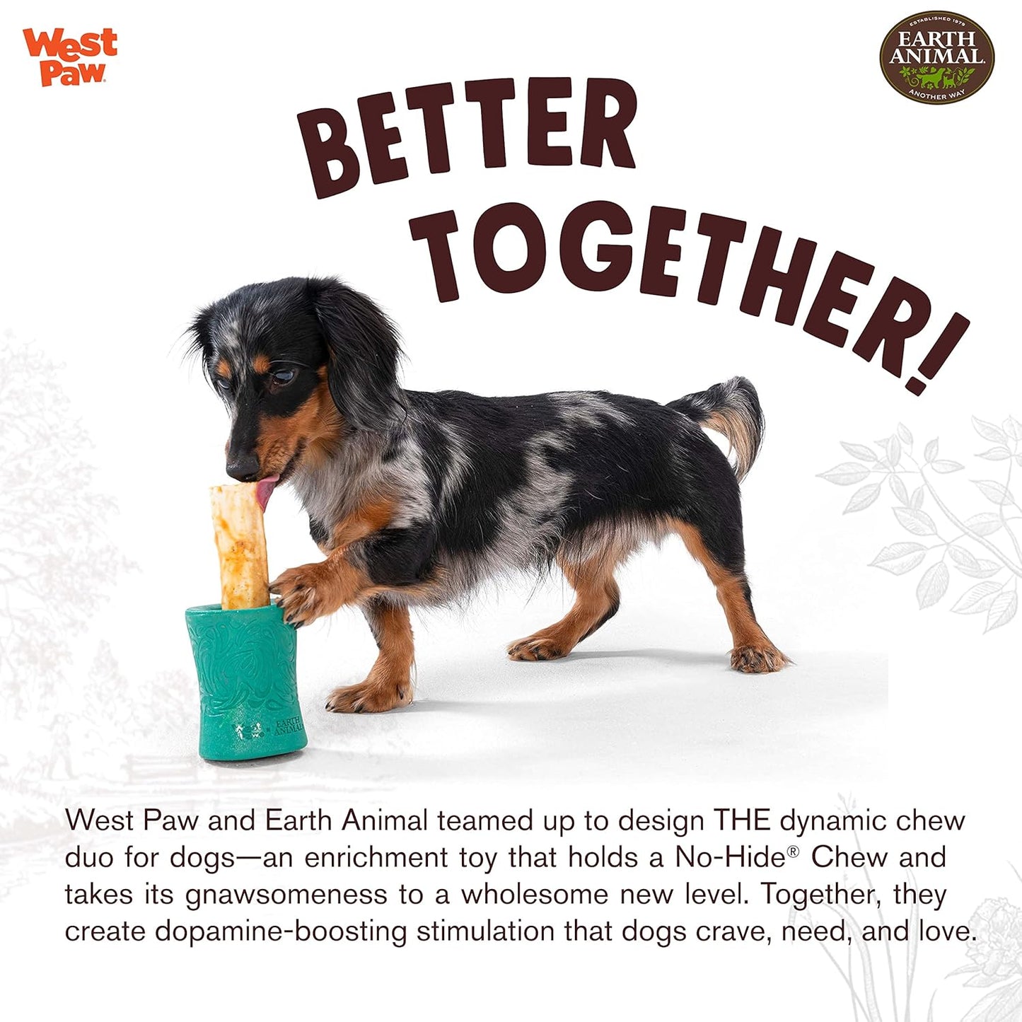 WEST PAW Funnl Dog Chew Toy - Interactive Treat Toys for Dogs - Toy Fillable with Earth Animal No-Hide Chews - Large 4.25" Kelp | Made in USA