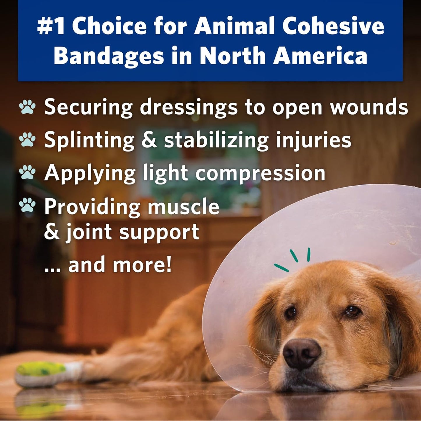 PetFlex Paw Pack – Flexible Self-Adhering Elastic Bandage for Wound Care – First Aid Wrap for Small Animals Like Dogs, Cats, and Other Pets - 2 inch, 6 Rolls