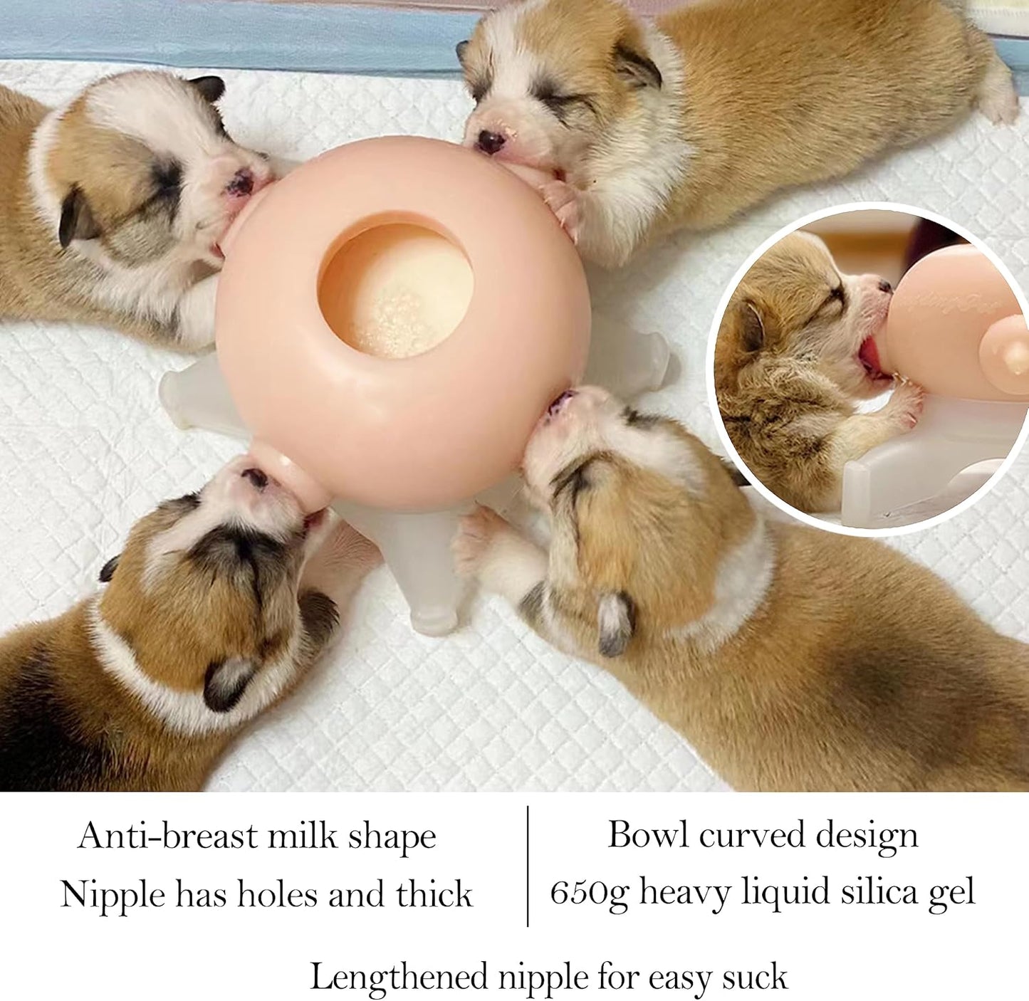 Puppy Feeder Puppy Milk Feeder Puppy Nursing Station Puppy feeders for Multiple Puppies Puppy Milk replacer Dongdong pet