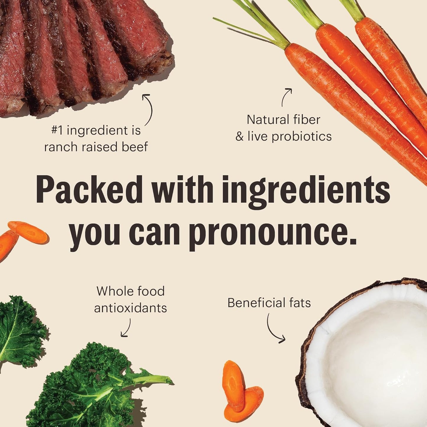 The Honest Kitchen Whole Food Clusters Grain Free Beef Dry Dog Food, 5 lb Bag