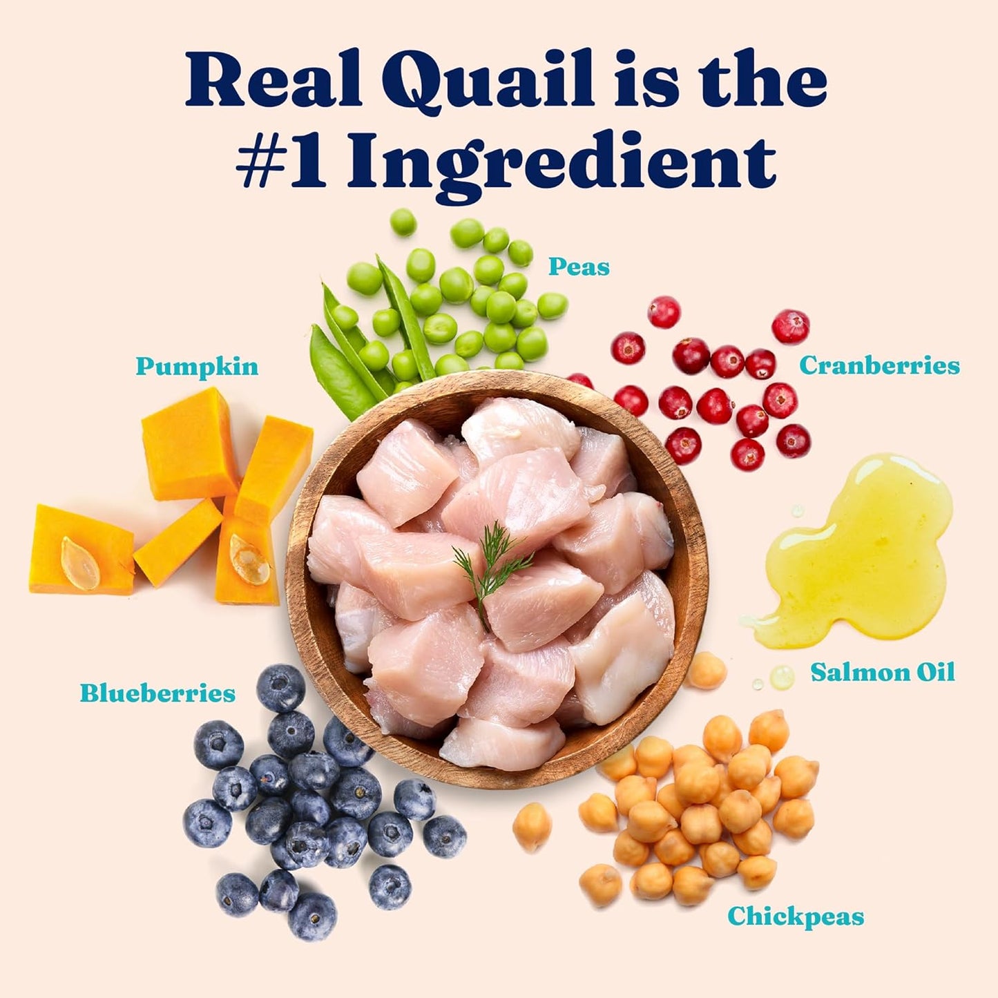 Solid Gold Sensitive Stomach Dry Cat Food - Grain Free & Gluten Free Sensitive Stomach Cat Food for Indoor Adult & Senior Cats - Dry Kibble for Cats w/Quail, Pumpkin & Probiotics for Gut Health - 6lb