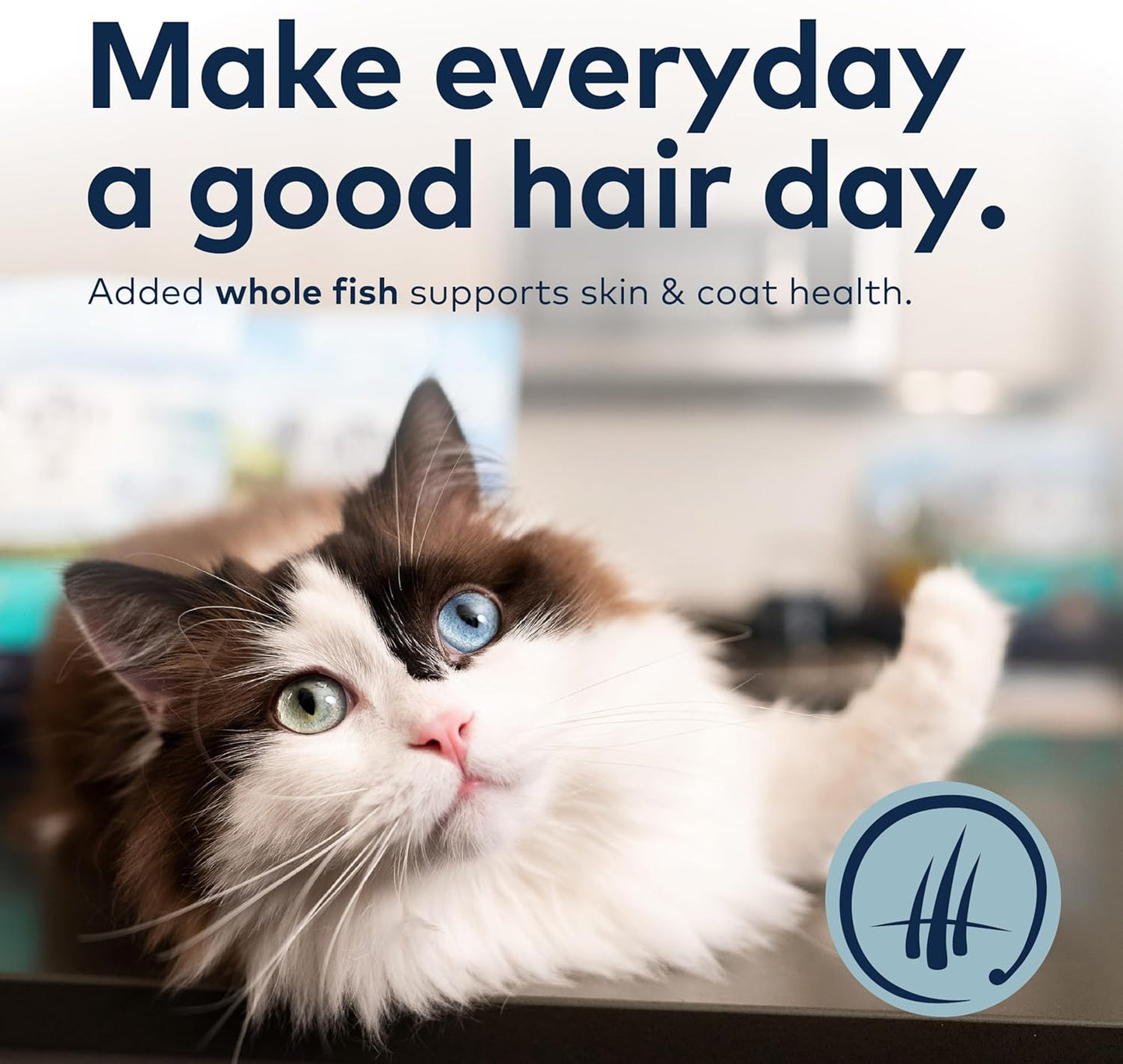 ZIWI Peak Steam & Dried Cat Food – Cage-Free Chicken w/Whole Mackerel - High Protein, Skin & Coat Health, Low Carb, for All Life Stages (28.8oz)