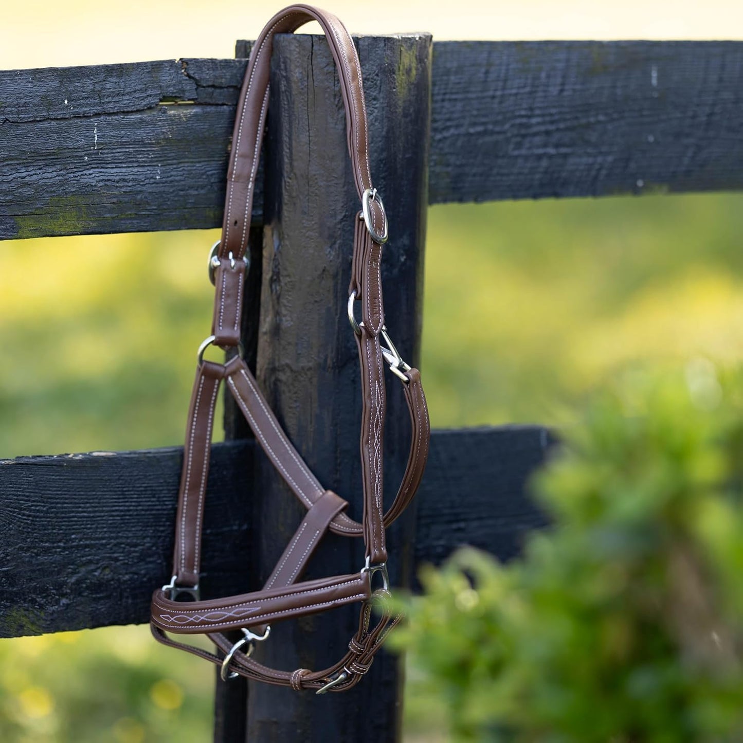 HORZE Warren Soft Adjustable Genuine Leather Horse Halter | Stainless Steel Hardware - Light Brown - Cob