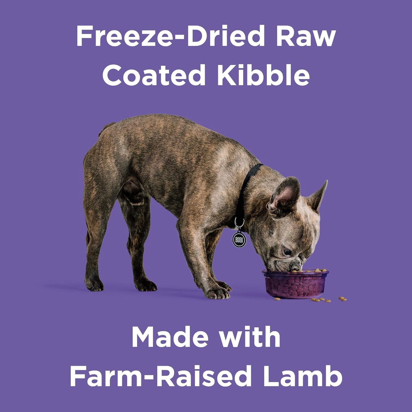 BIXBI Rawbble Dry Dog Food, Lamb, 24 lbs - USA Made with Fresh Meat - No Meat Meal & No Corn, Soy or Wheat - Freeze Dried Raw Coated Dog Food - Minimally Processed for Superior Digestibility