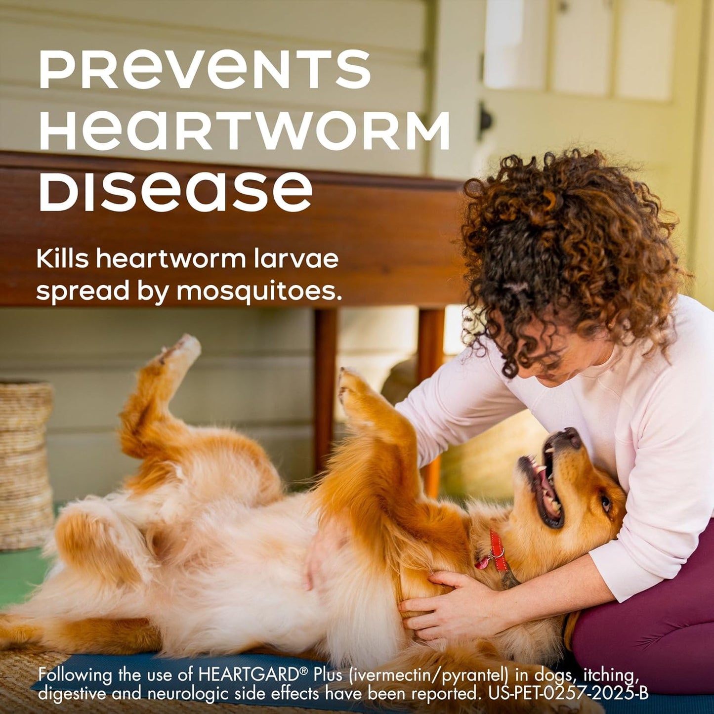 HEARTGARD® Plus (ivermectin/pyrantel) Real-Beef Chewables for Dogs 51-100 lbs (Brown Box) 6 Month Supply of Chews (Heartworm Disease Preventive)