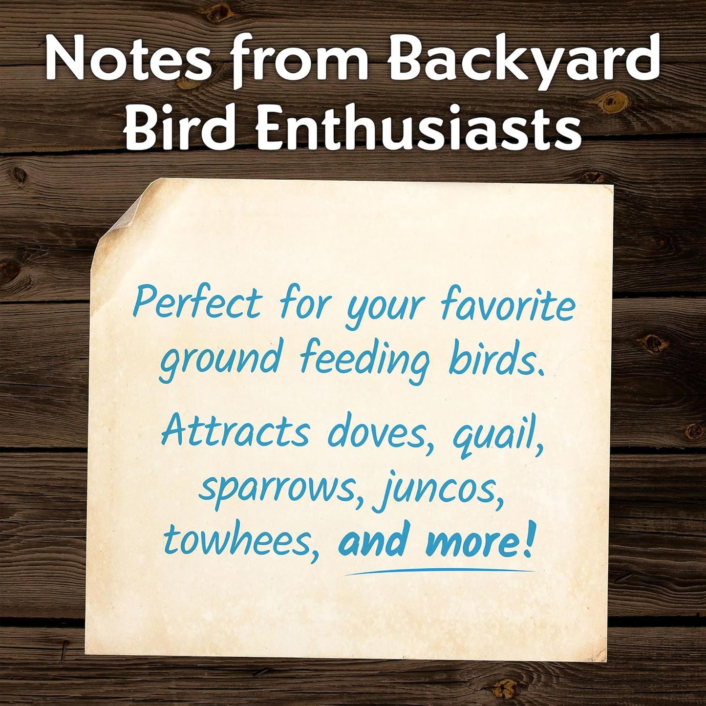 Morning Song Dove & Ground Feeding Wild Bird Seed -12 lb. Dove, Quail & Pigeon Wild Bird Food for Outside Feeders