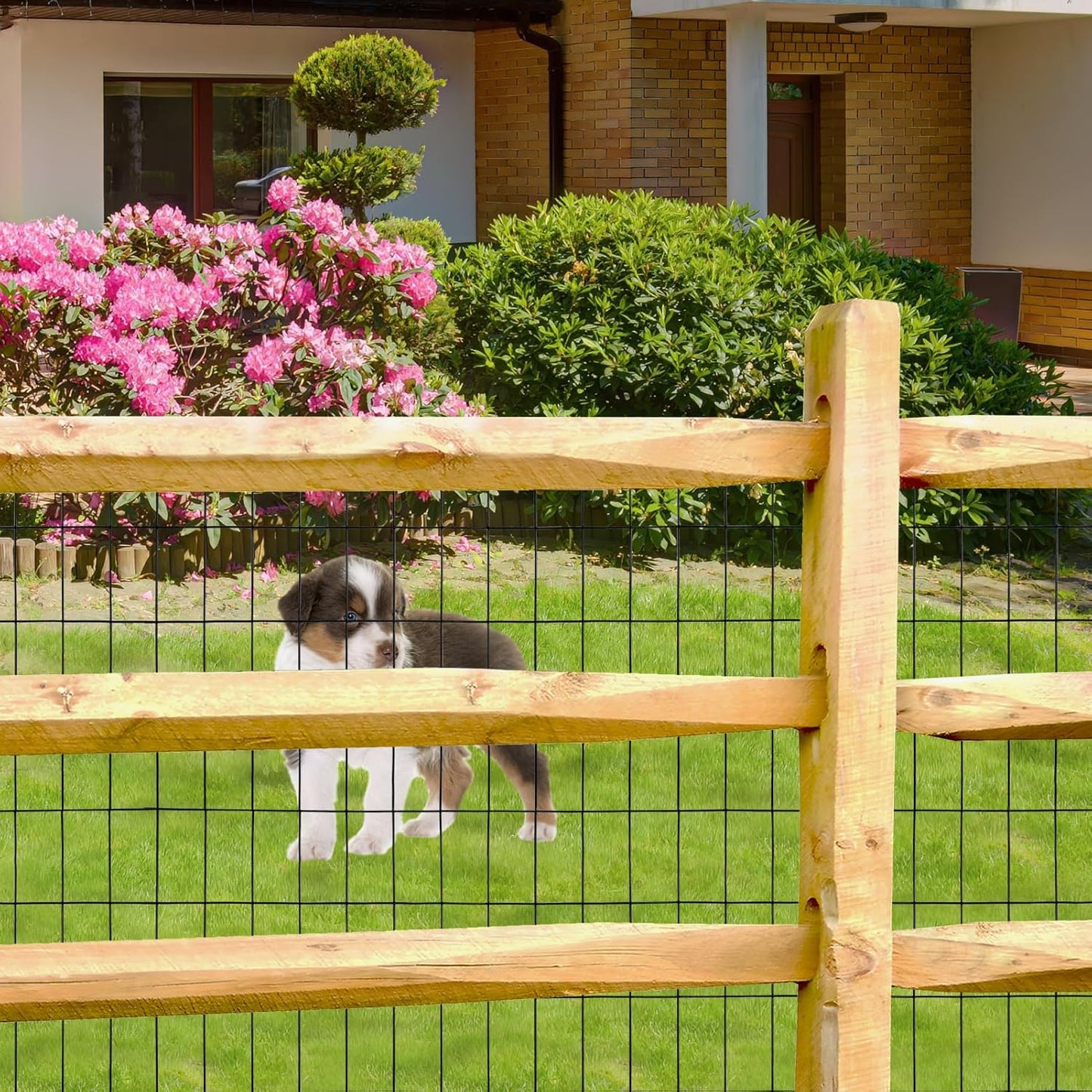 Black PVC Coated Welded Wire Fence 24 Inch x 50 Foot, 2 Inch x 4 Inch 15GA, Garden Border Fencing Roll Vinyl Coating Metal Wire Mesh Hardware Cloth for Yard Vegetable Plant Protection