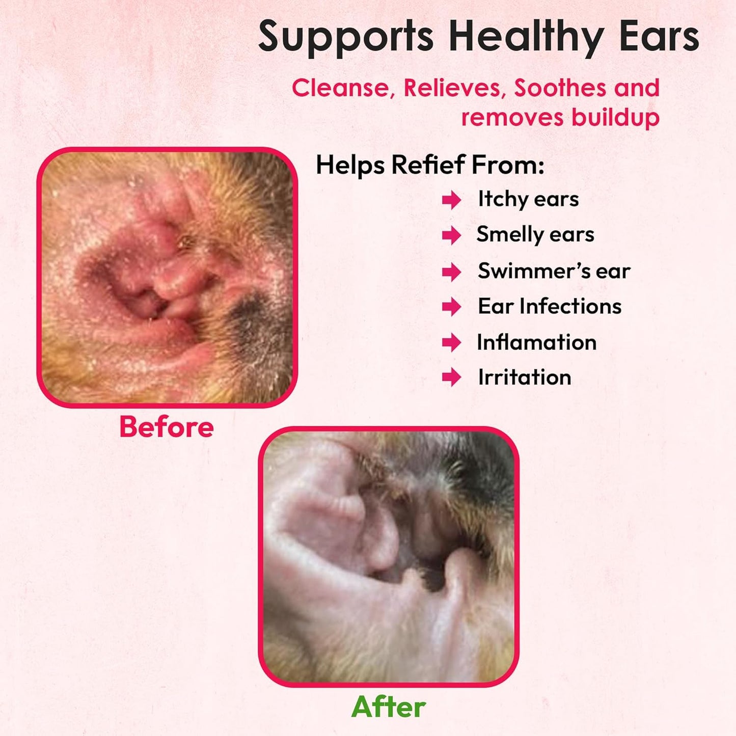 Truseb Advanced Topical Dog Ear Wash with Ketoconazole & Chlorhexidine Ear Flush Dog, Cats and Horses, with Aloe - 12 oz Made in U.S.A (Ketoconazole & Chlorhexidine Ear Flush, 12 oz)