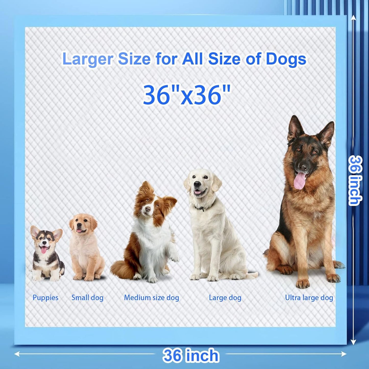 XXXL Puppy Pee Pads for Dogs 36"x36" 40 Count, Extra Large Dog Pee Pads, Leak-Proof & Super Absorbent Dog Pee Pads, Thicken Disposable Potty Pads Puppy Training Pads for Cats Rabbits