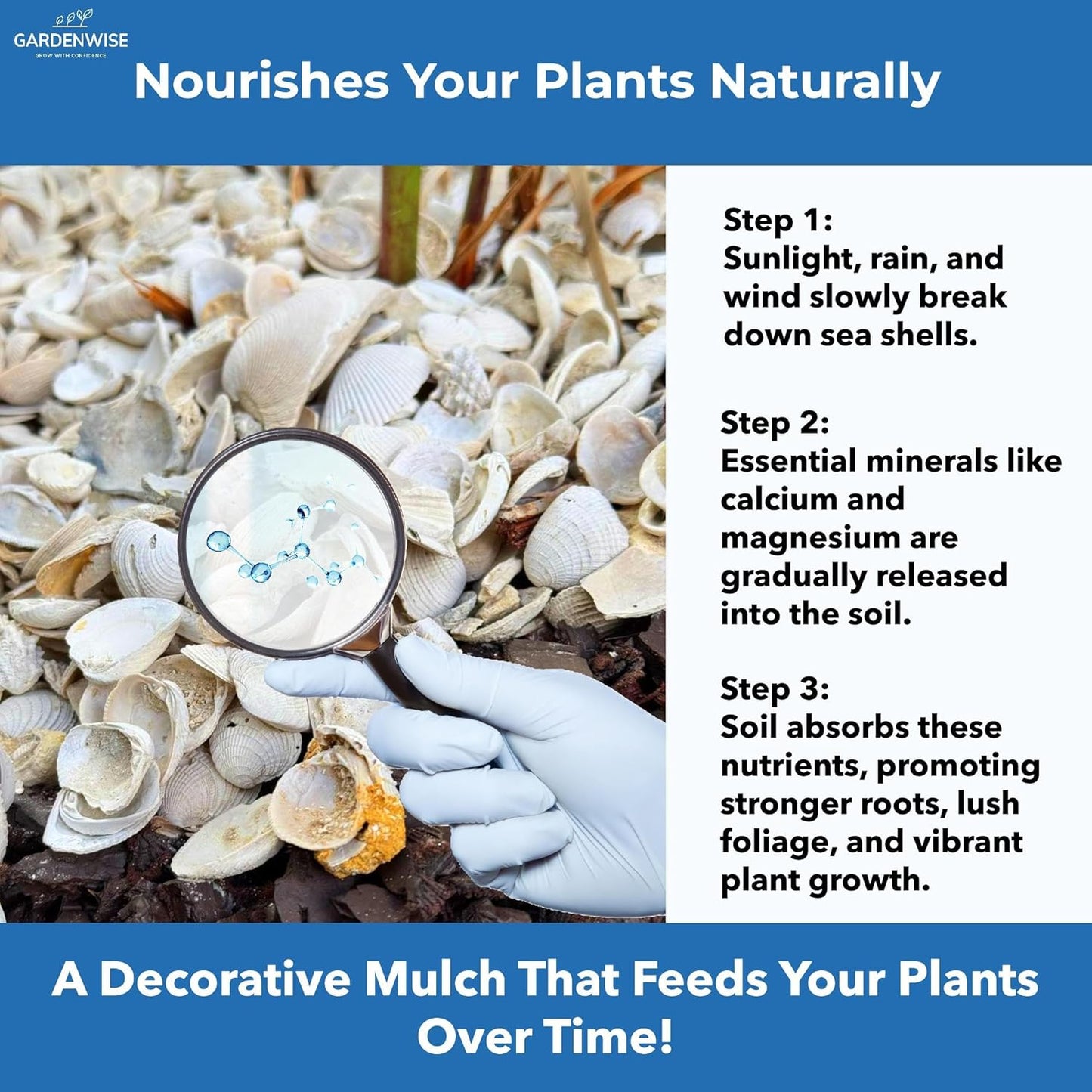 Natural Organic Sea Shell Mulch for Gardens and Landscaping – Decorative and Nutrient-Rich, 0.5–3-Inch Shells, Perfect for Indoor and Outdoor Use (0.7 CF - 20 L - 21 QTS)