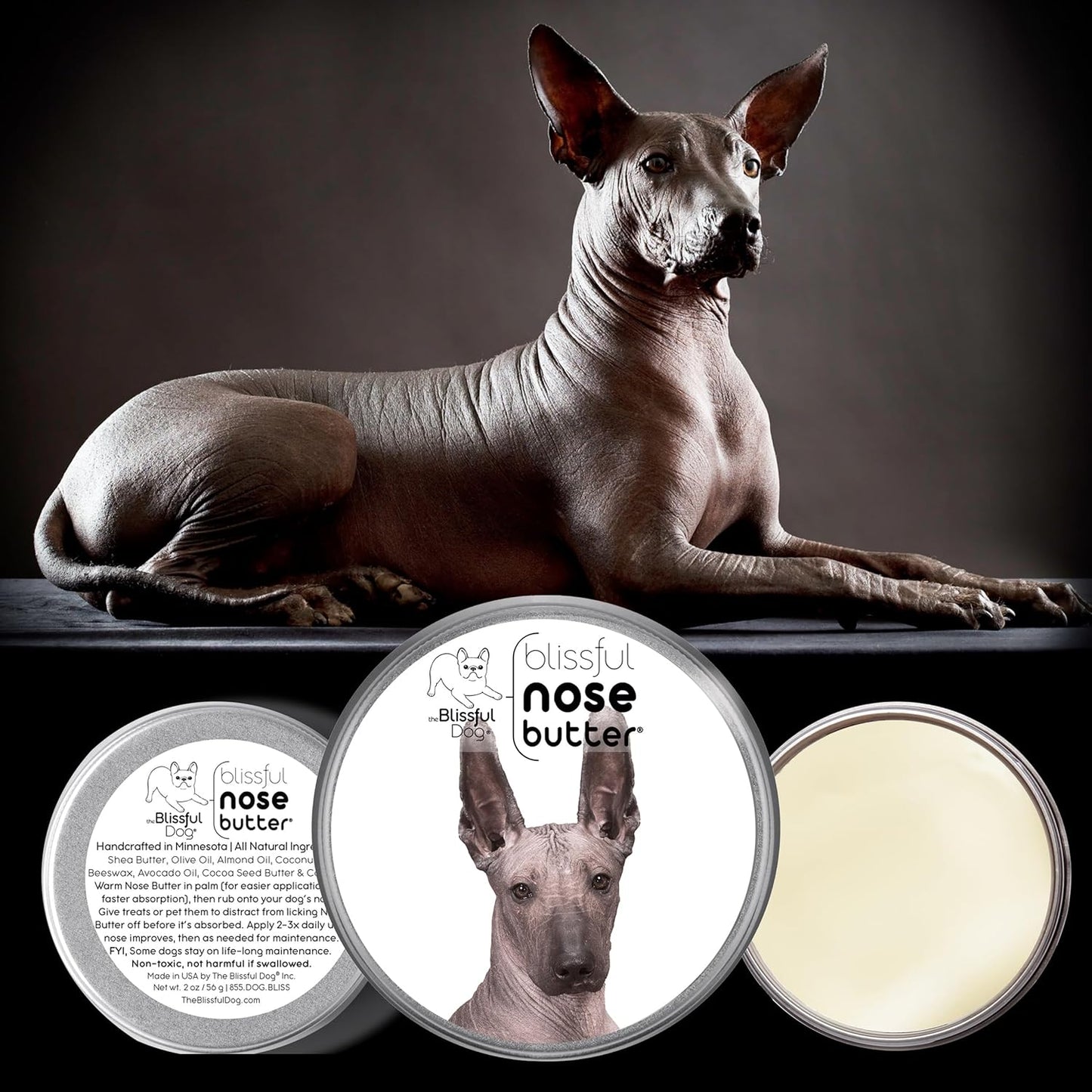 The Blissful Dog Xoloitzcuintli Nose Butter for Dry, Cracked Skin, Lick-Safe Dog Nose Balm with Moisturizing Shea Butter, Almond, Olive, and Essential Oils, Pet Supplies, Uncented, 4 oz.